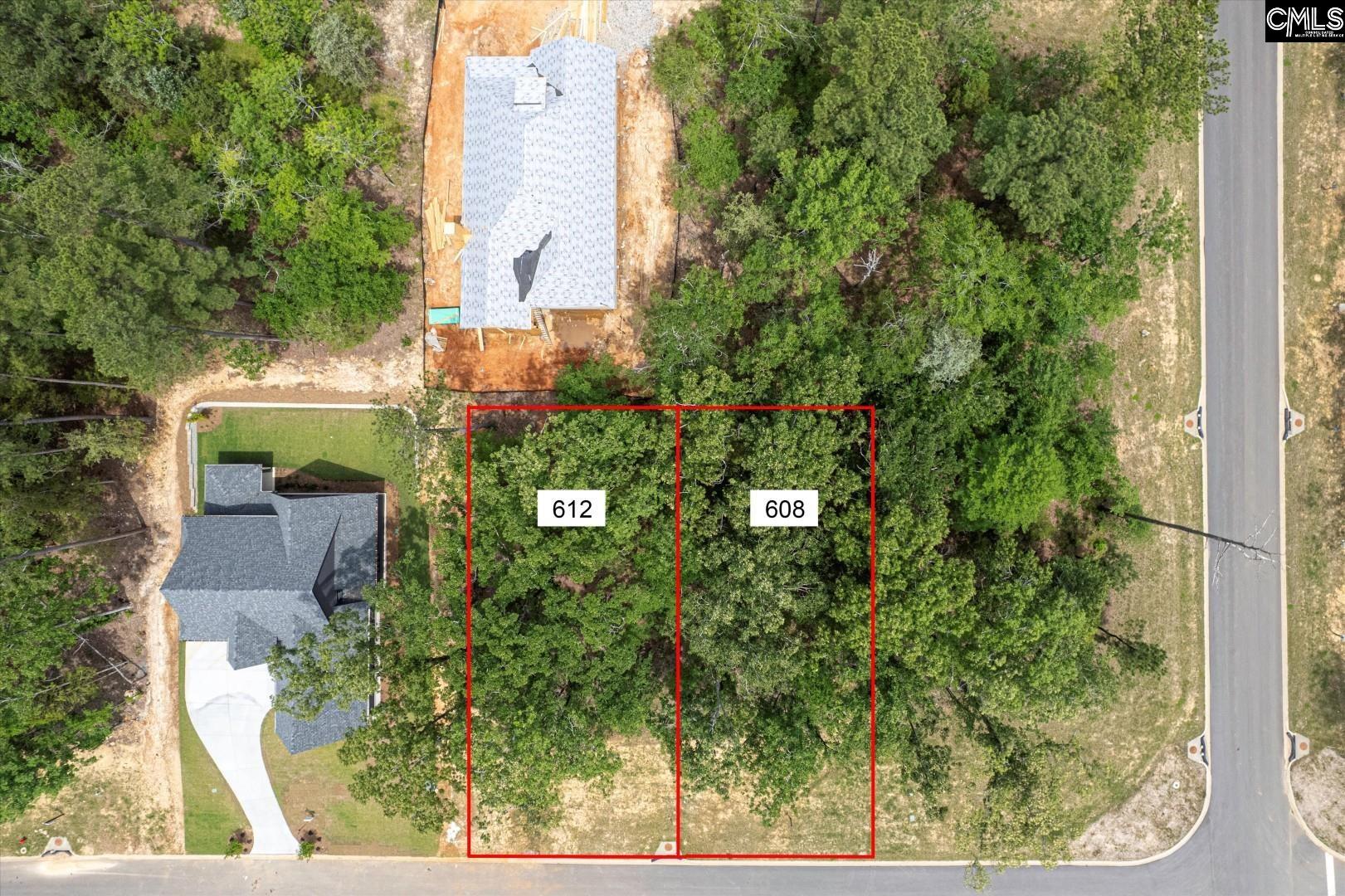 612 Misty Banks Drive, Chapin, South Carolina image 5