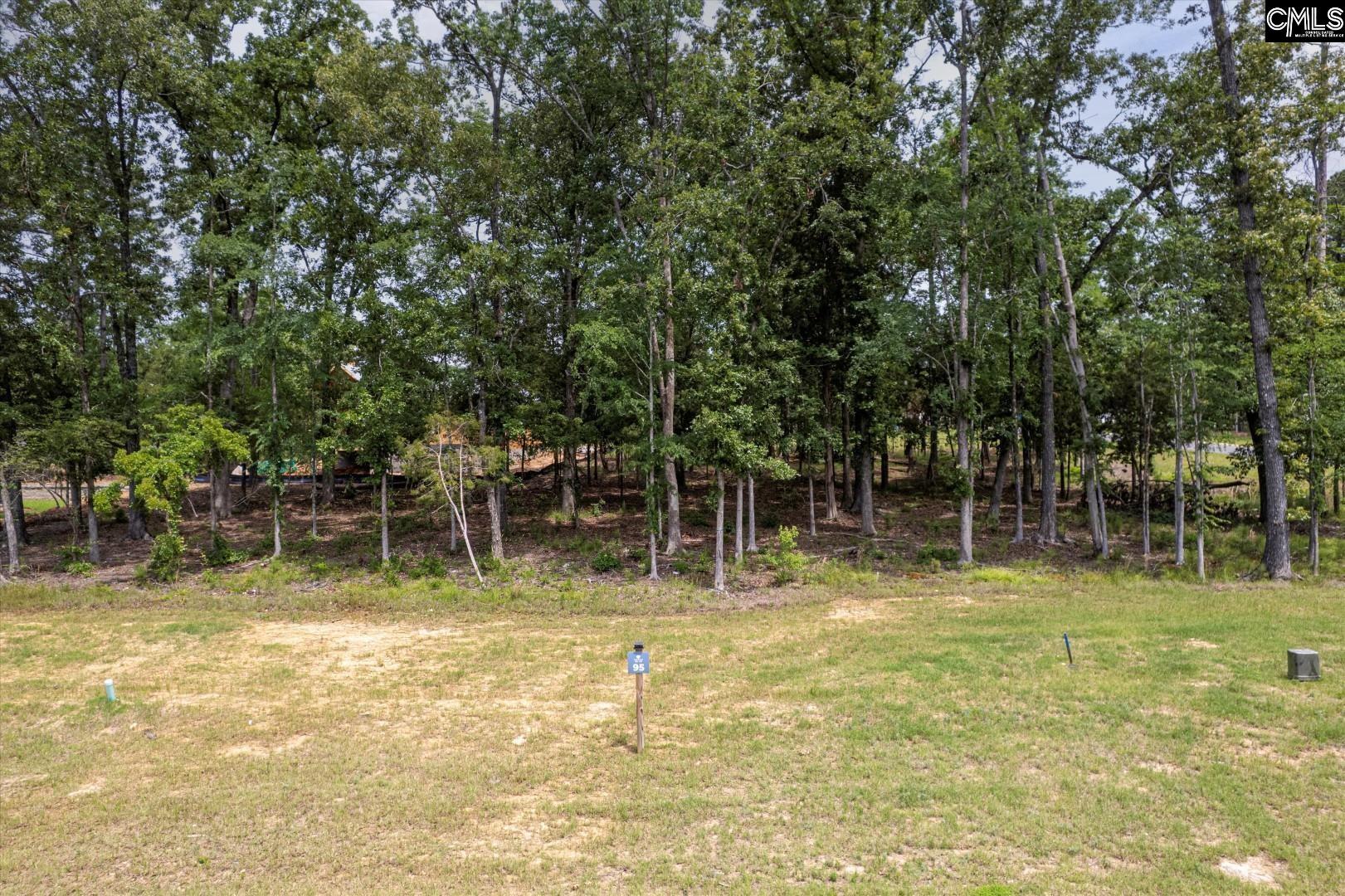 608 Misty Banks Drive, Chapin, South Carolina image 2