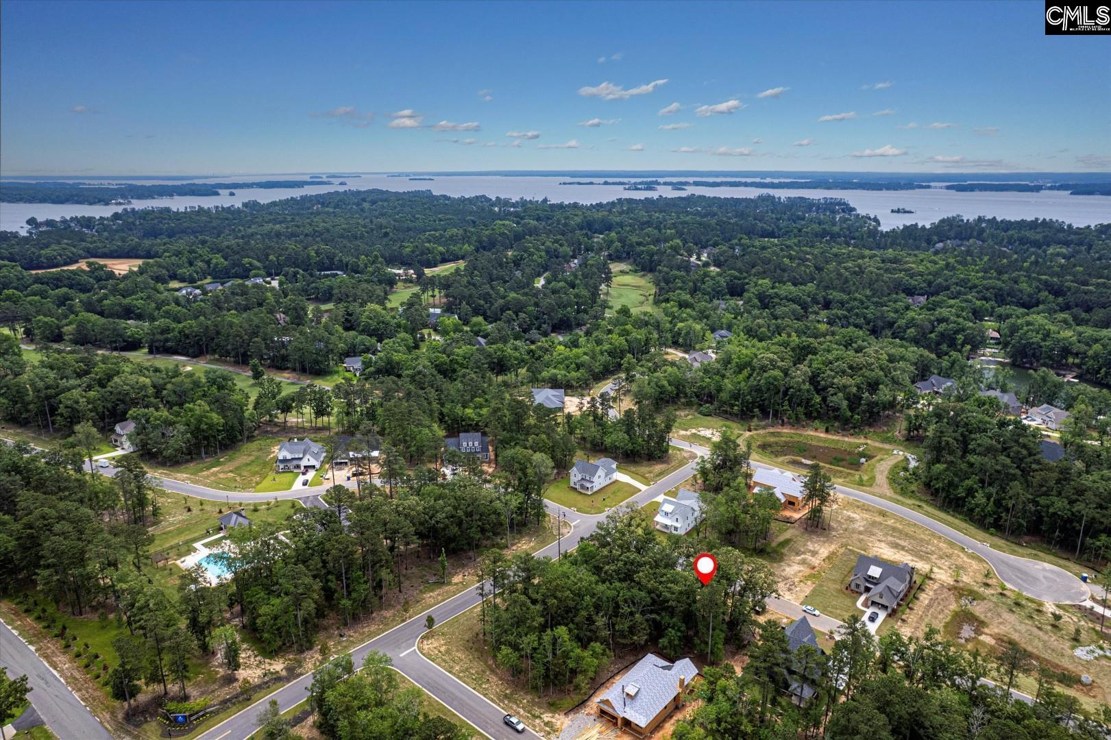 608 Misty Banks Drive, Chapin, South Carolina image 12