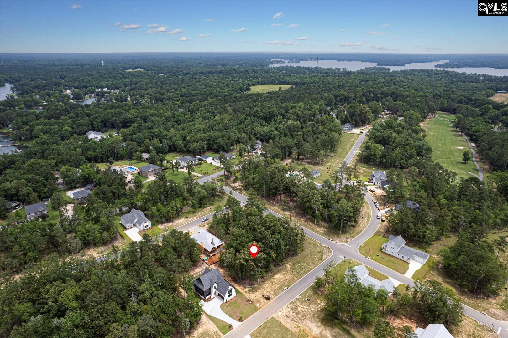 608 Misty Banks Drive, Chapin, South Carolina image 13