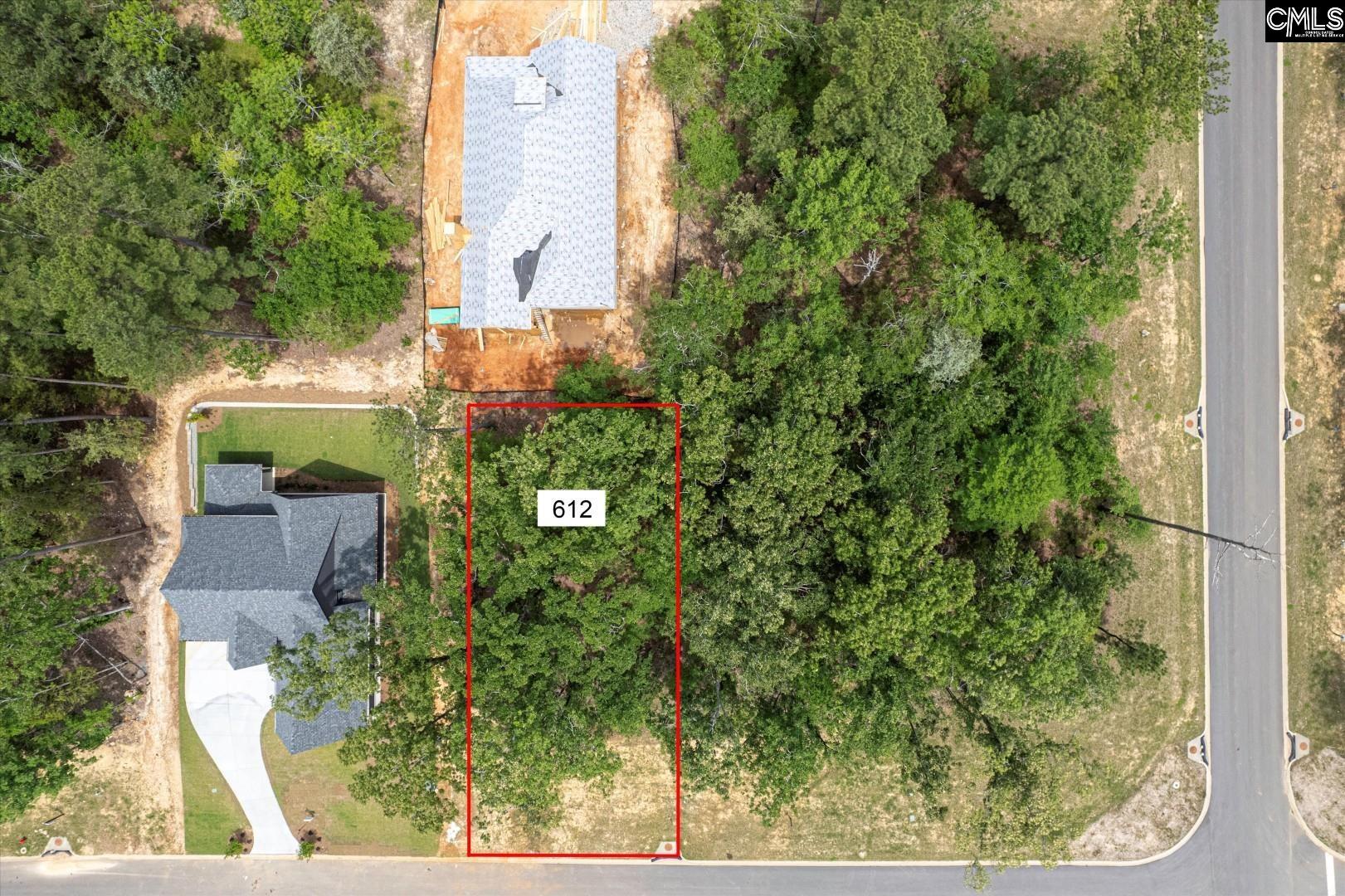 608 Misty Banks Drive, Chapin, South Carolina image 3