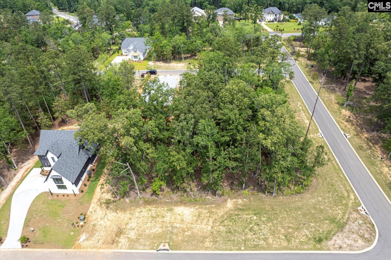 608 Misty Banks Drive, Chapin, South Carolina image 7