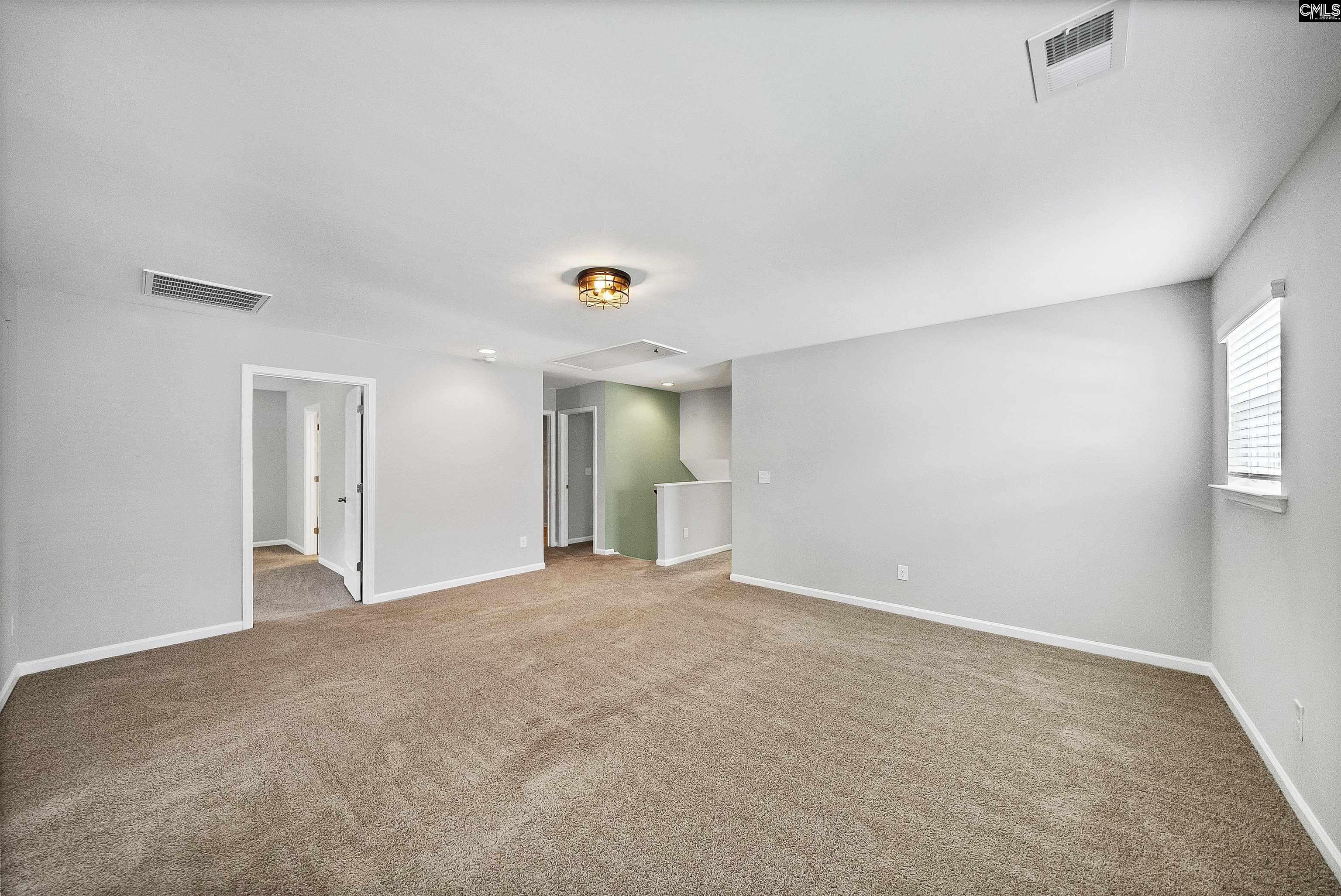 366 Dolly Horn Lane, Chapin, South Carolina image 32
