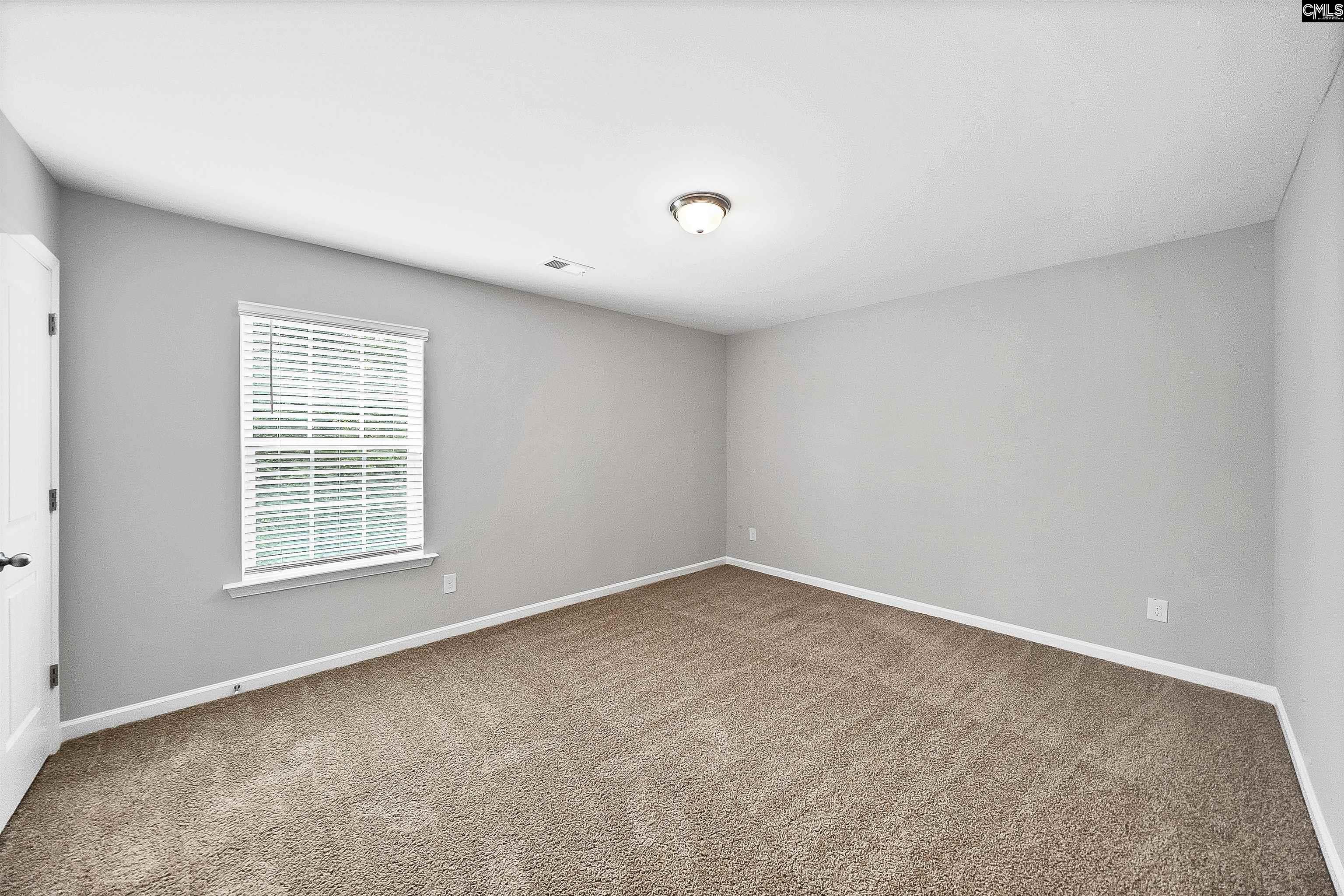 366 Dolly Horn Lane, Chapin, South Carolina image 41