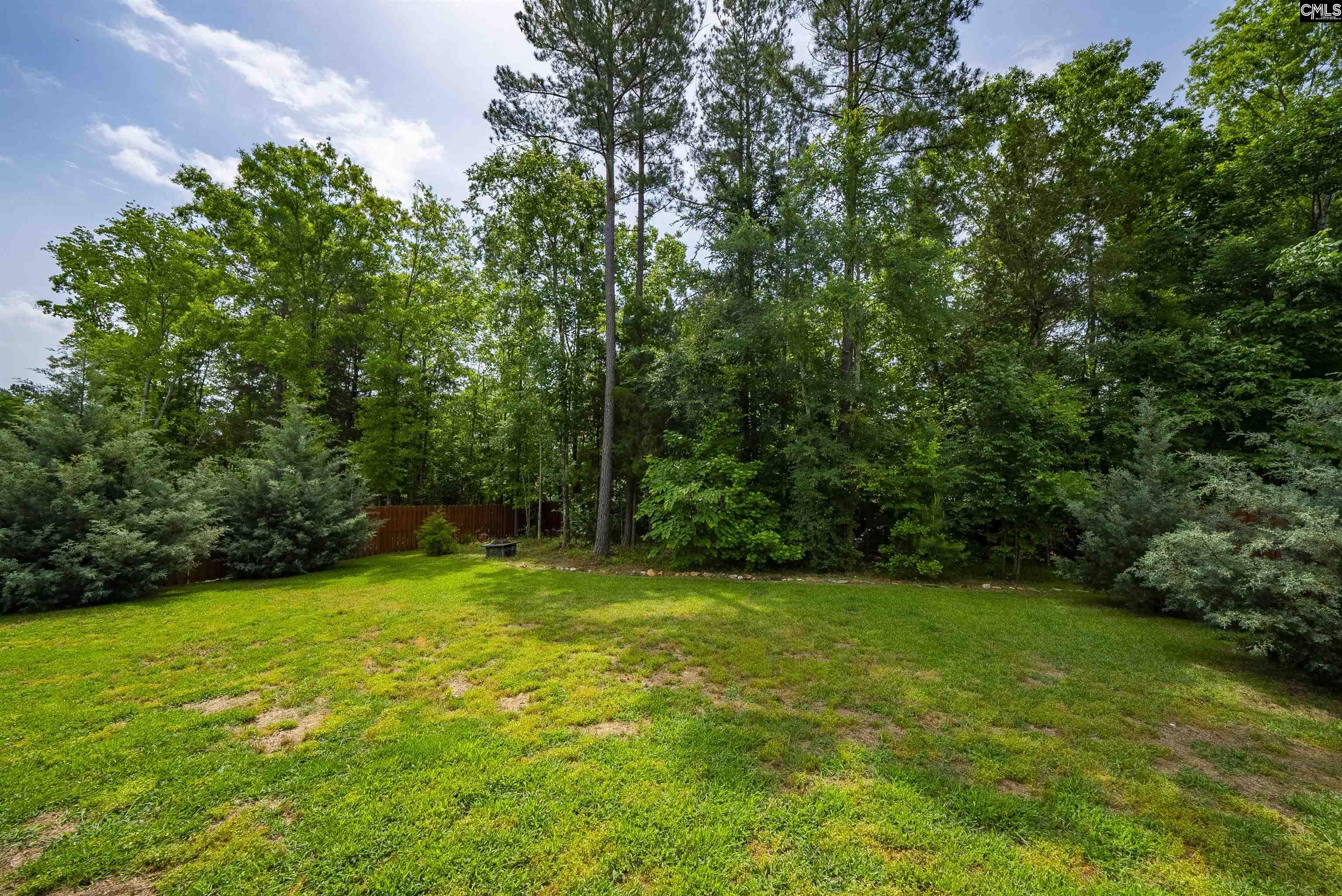 366 Dolly Horn Lane, Chapin, South Carolina image 47