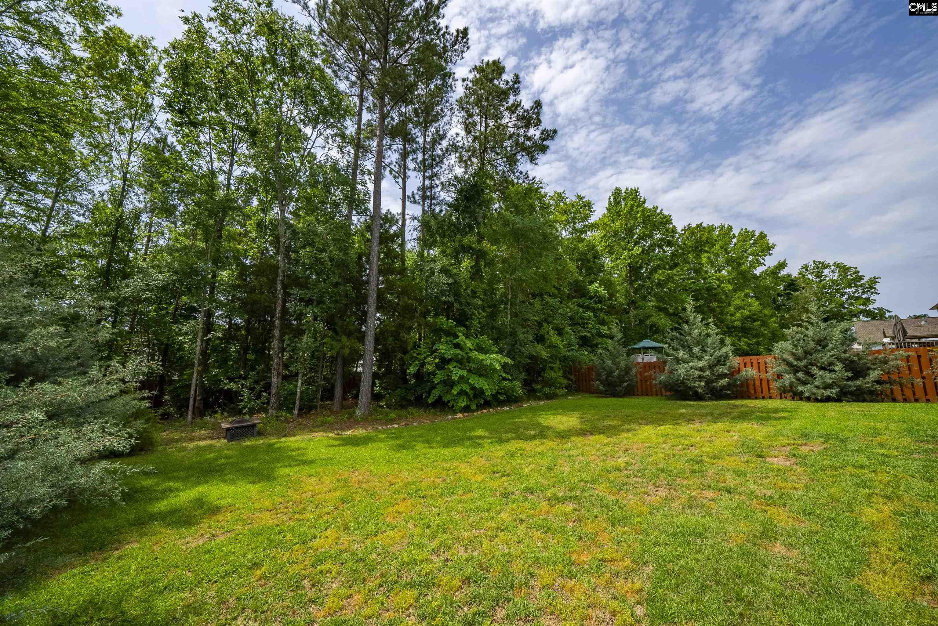 366 Dolly Horn Lane, Chapin, South Carolina image 49