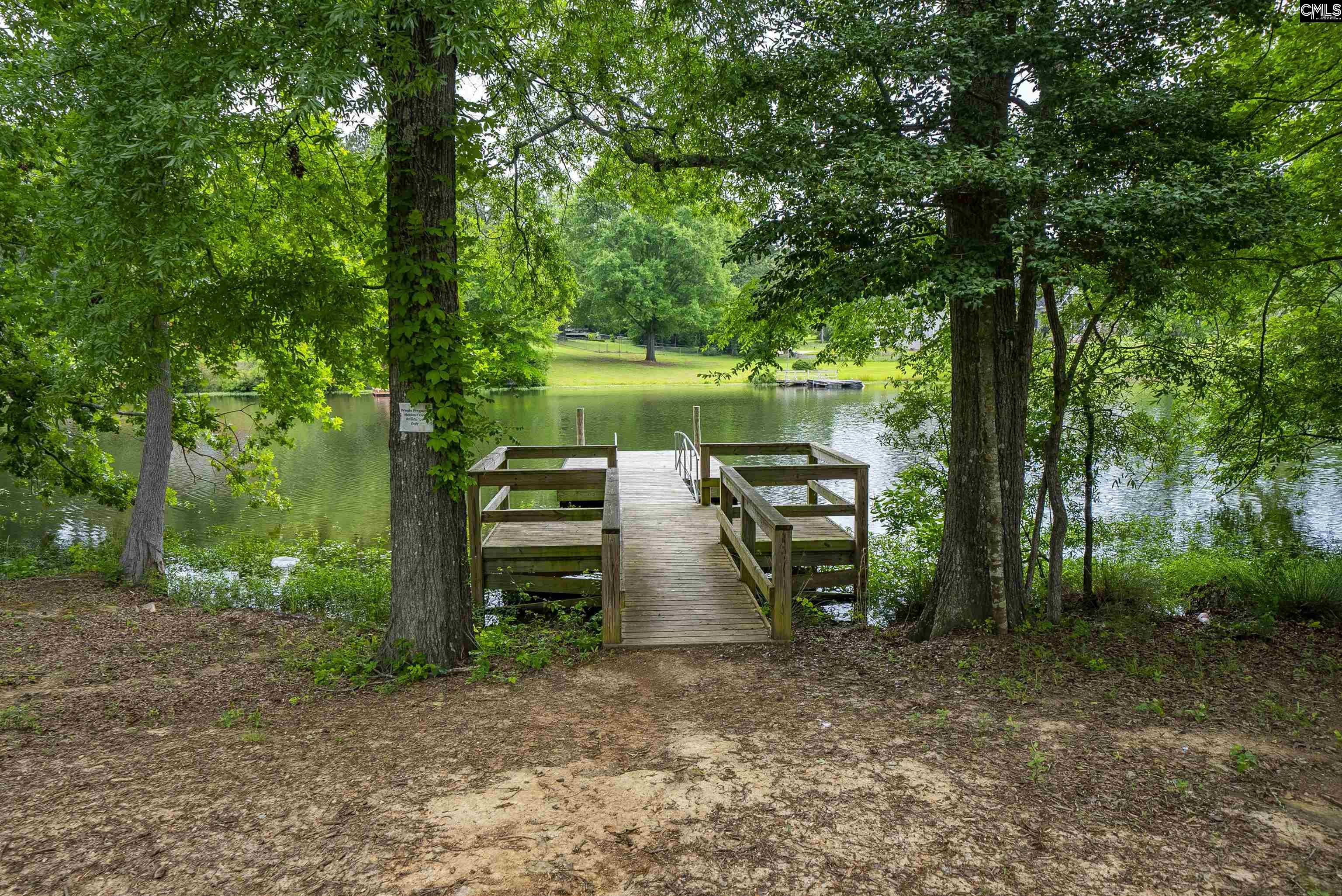 366 Dolly Horn Lane, Chapin, South Carolina image 50