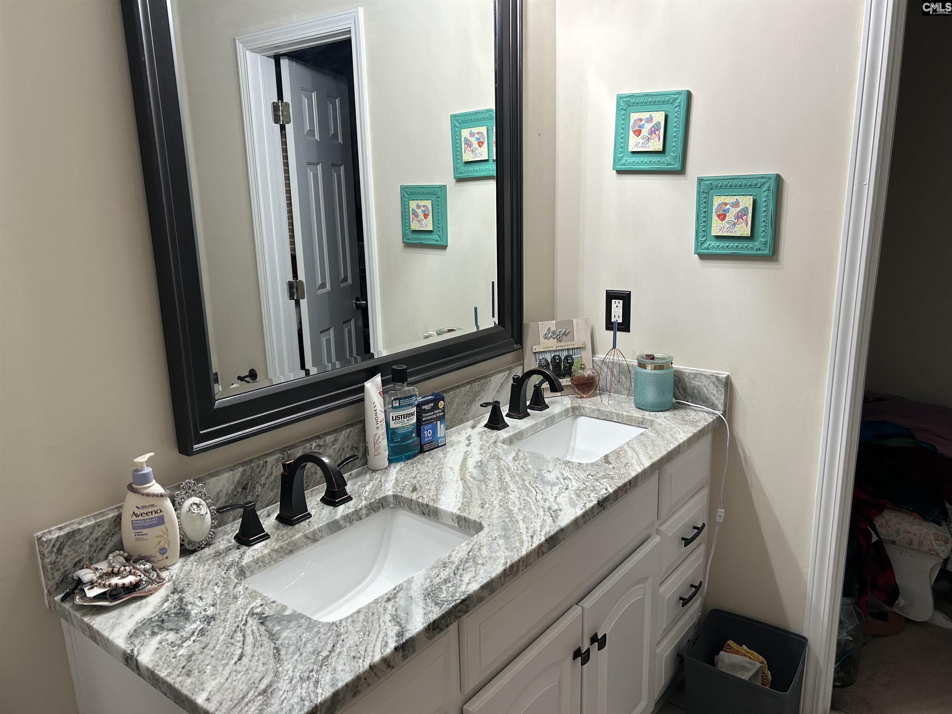 304 Cutter Court, Chapin, South Carolina image 7