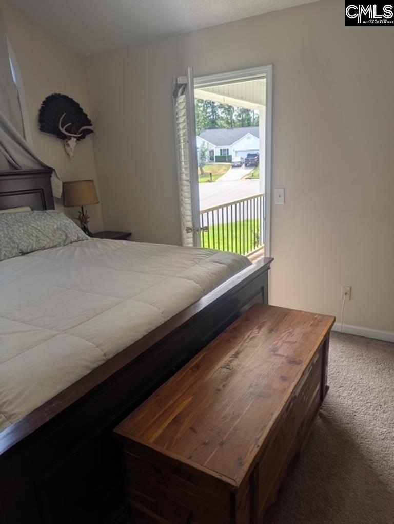 304 Cutter Court Chapin, SC 29036