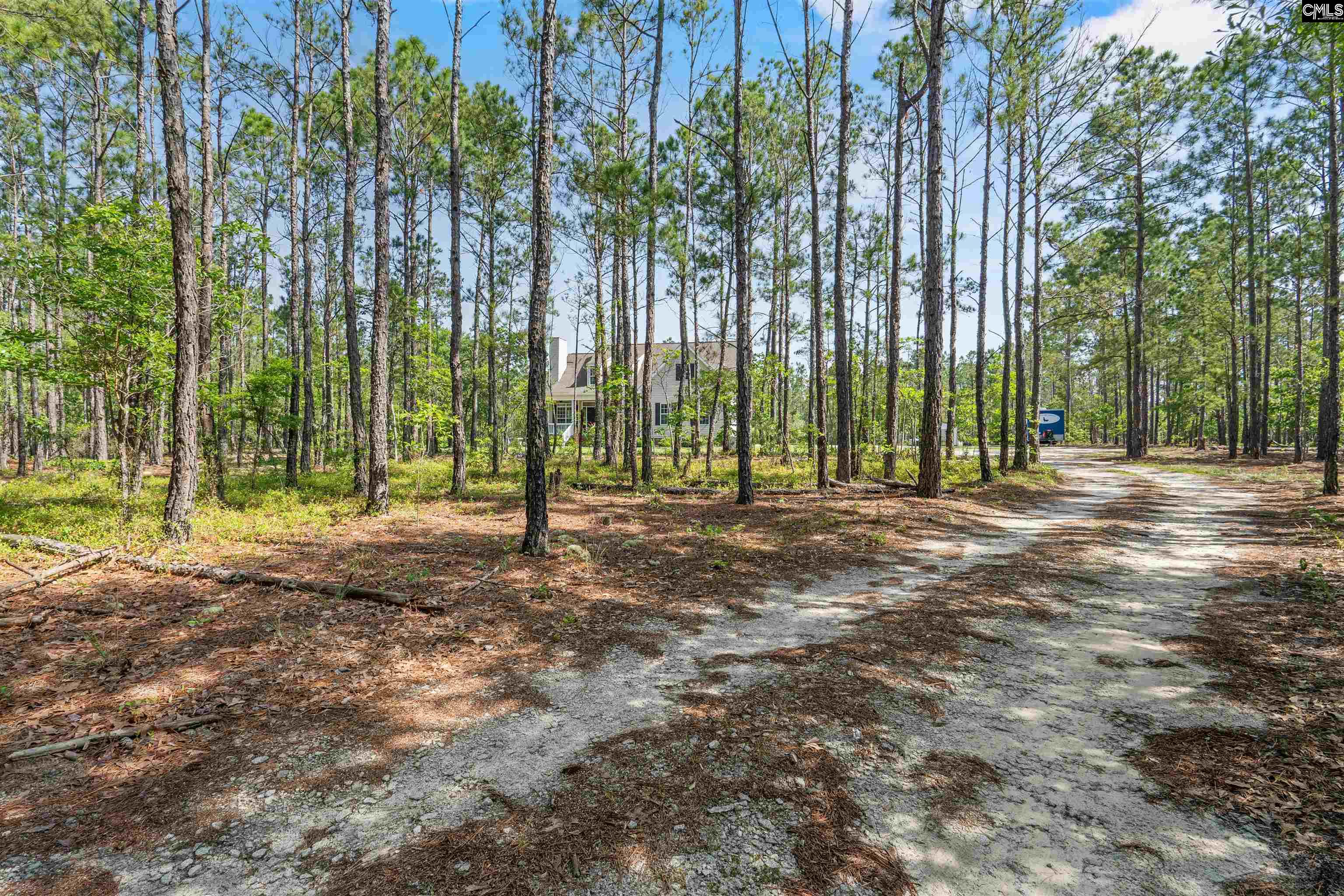 120 Butternut Lane, Camden, South Carolina image 39