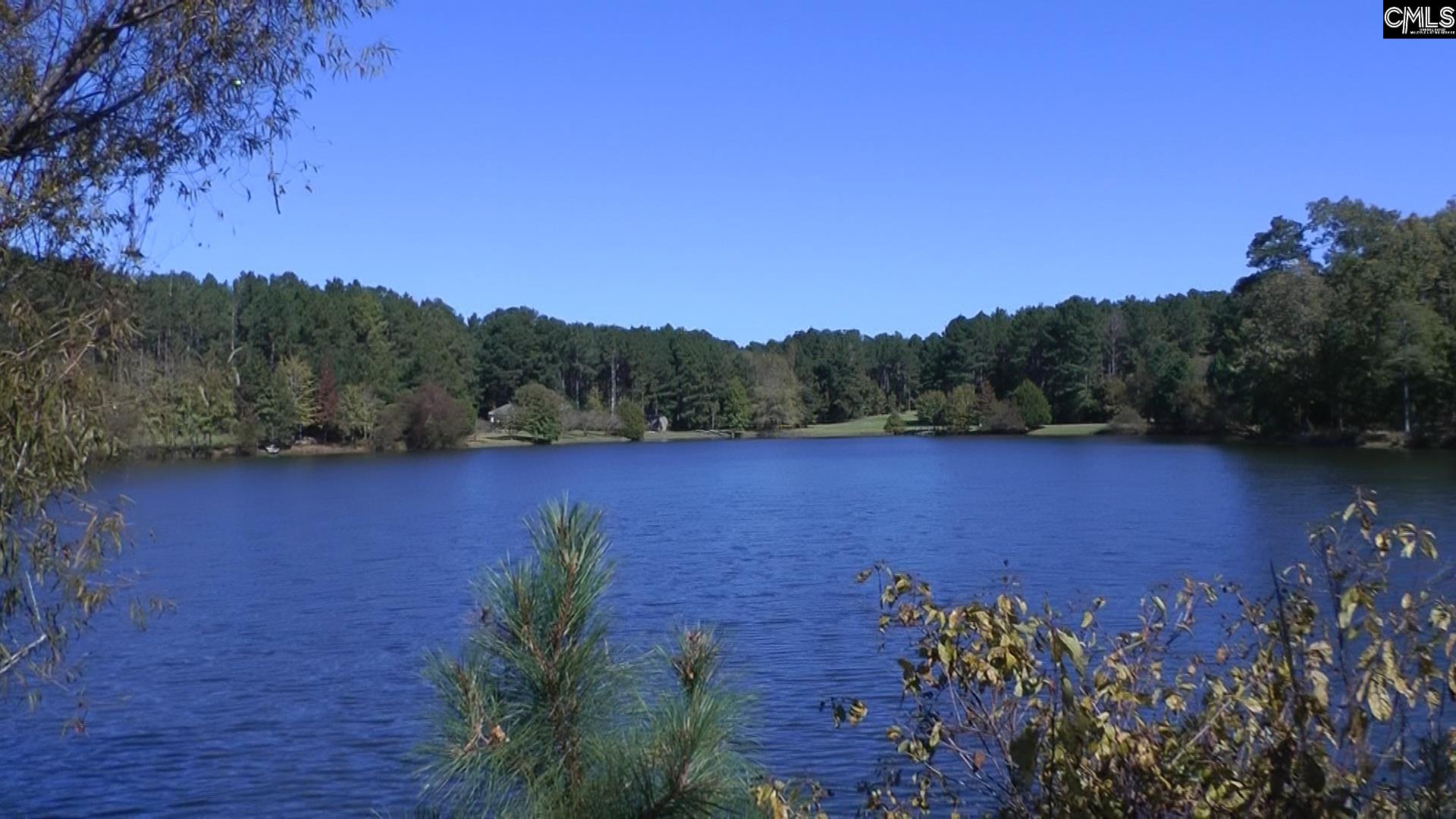 122 Summer Haven Lane, Leesville, South Carolina image 4