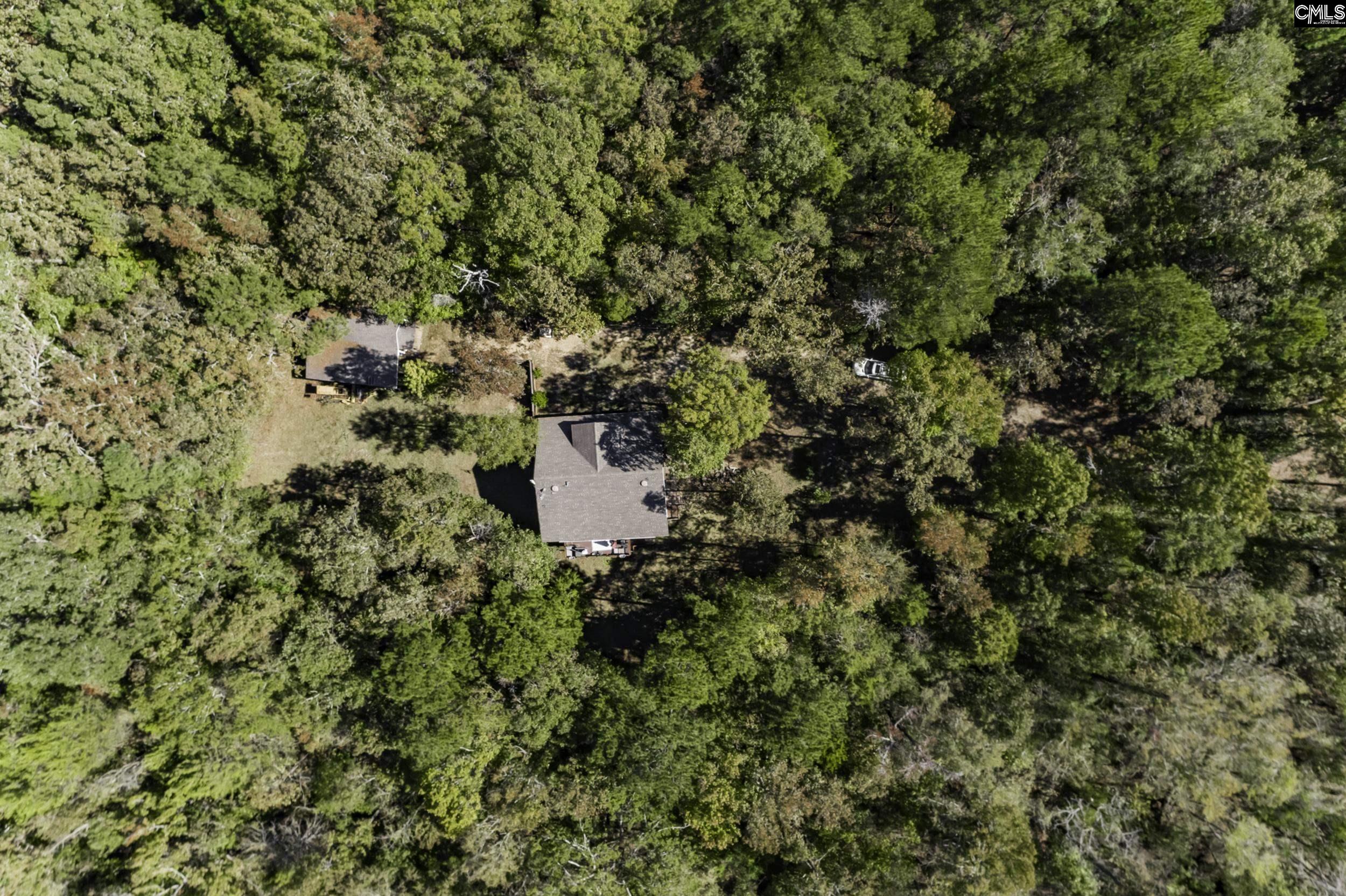 2033 Old Hilton Road, Chapin, South Carolina image 22