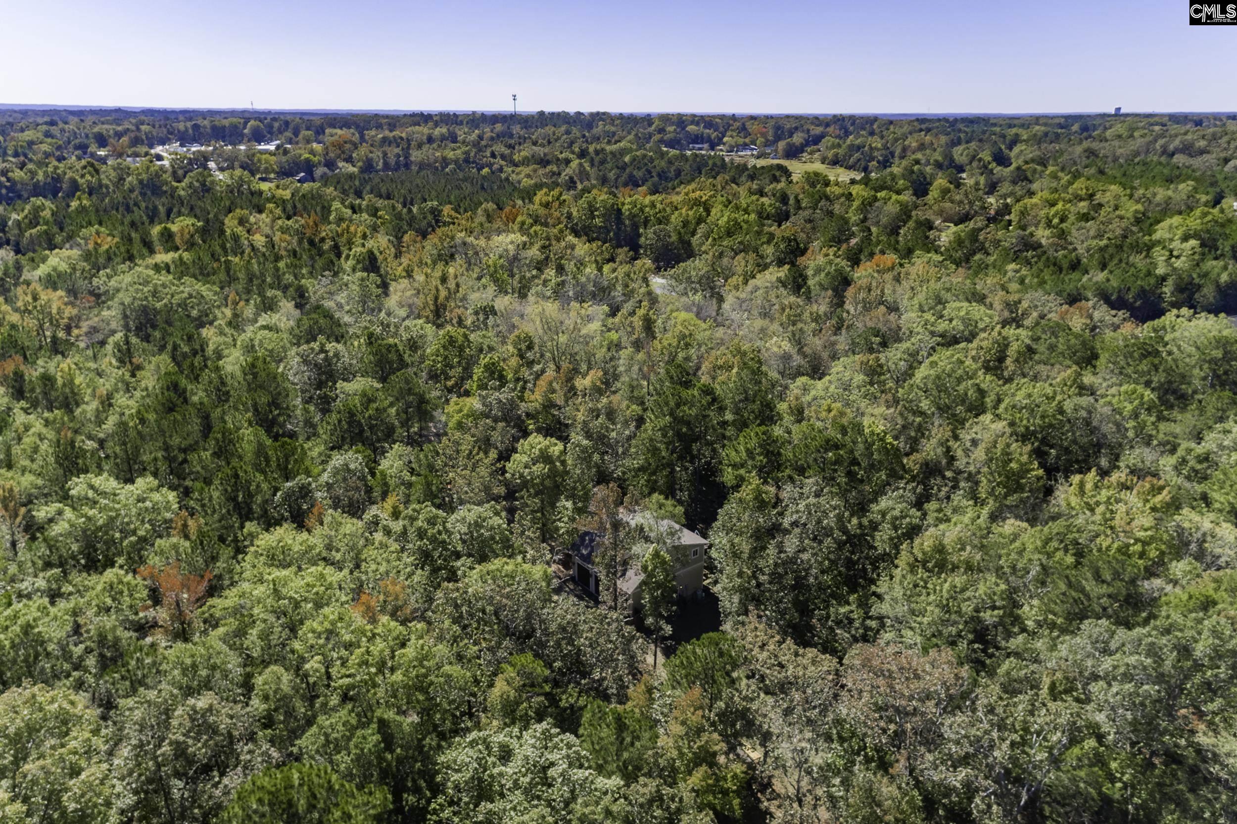 2033 Old Hilton Road, Chapin, South Carolina image 24