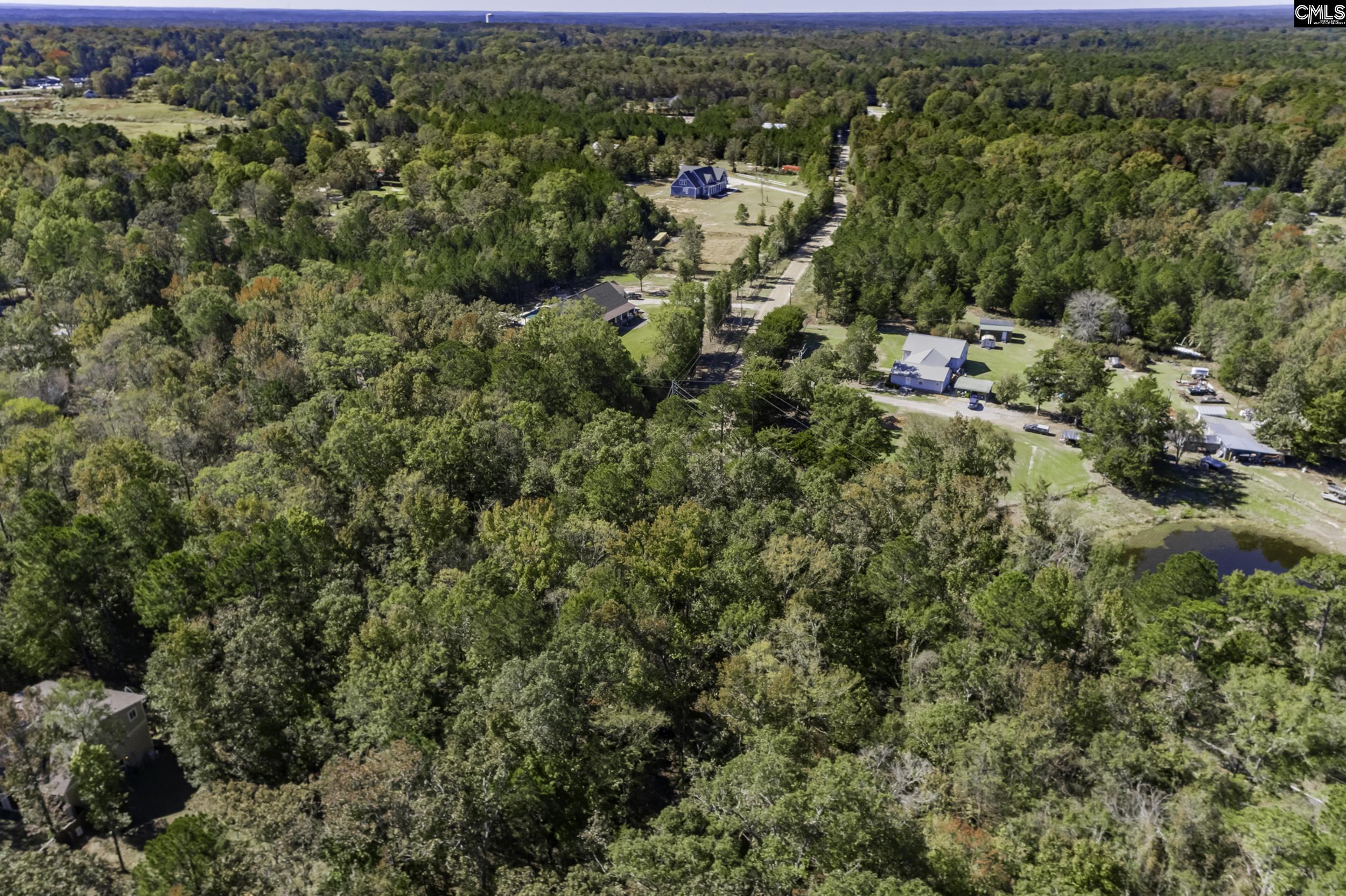 2033 Old Hilton Road, Chapin, South Carolina image 25