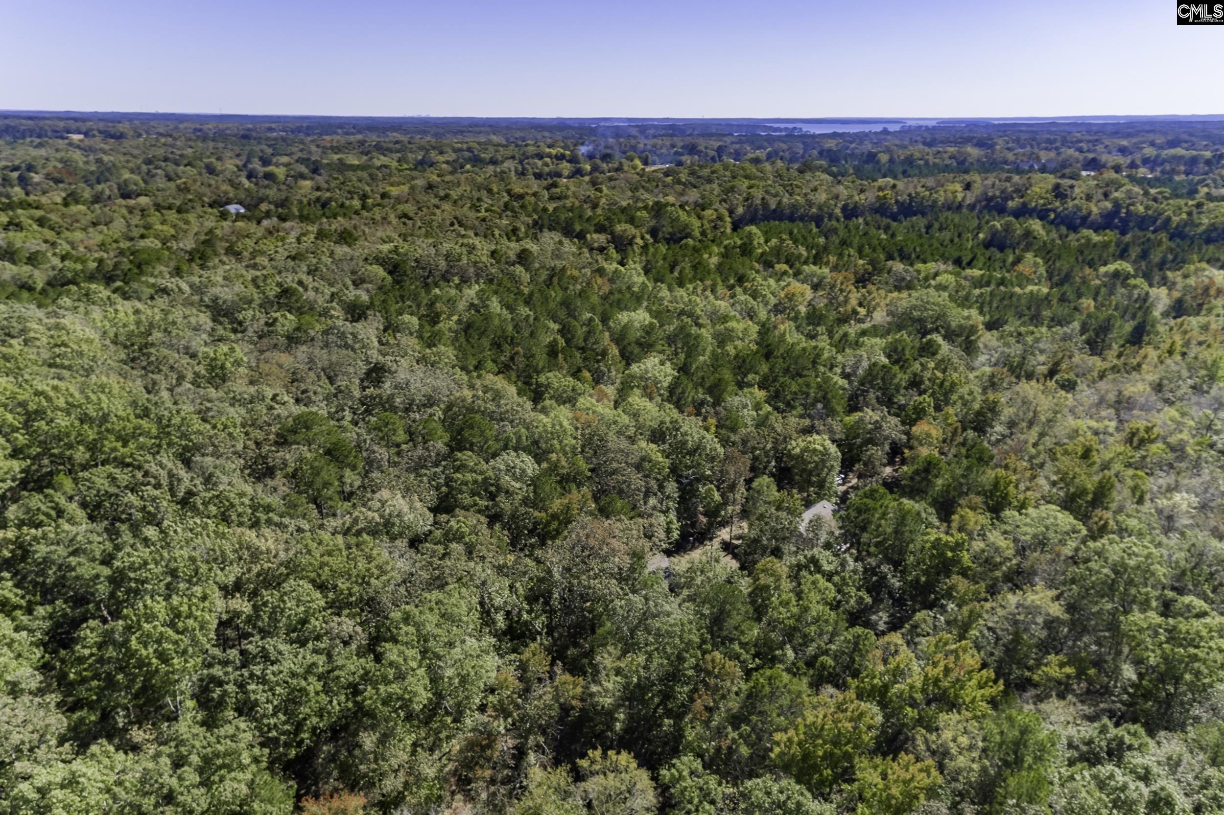 2033 Old Hilton Road, Chapin, South Carolina image 26