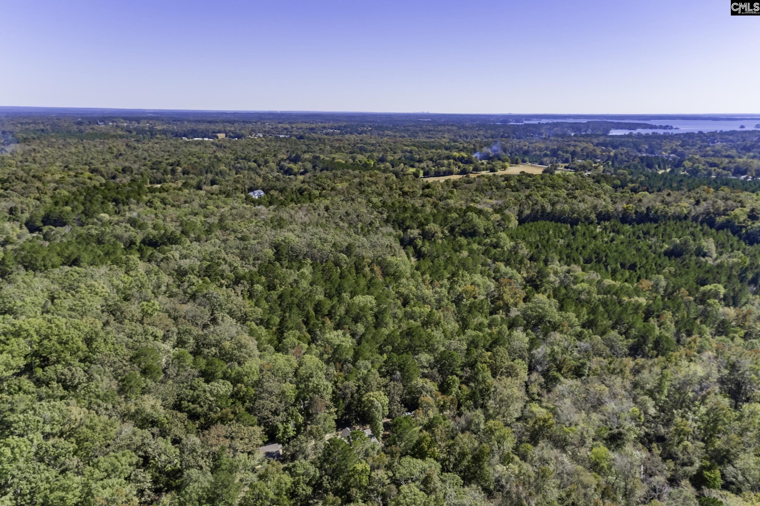 2033 Old Hilton Road, Chapin, South Carolina image 27
