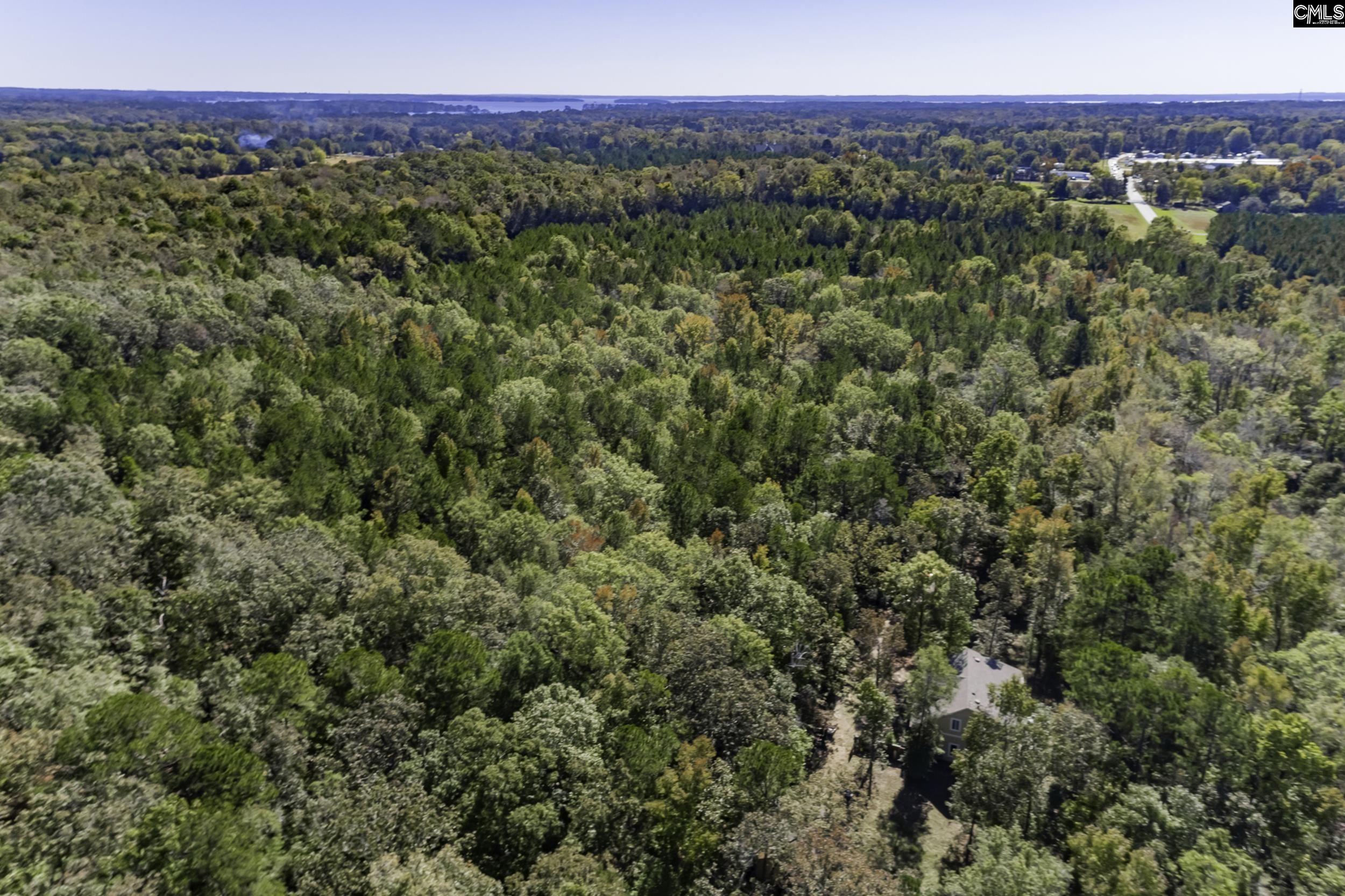 2033 Old Hilton Road, Chapin, South Carolina image 28