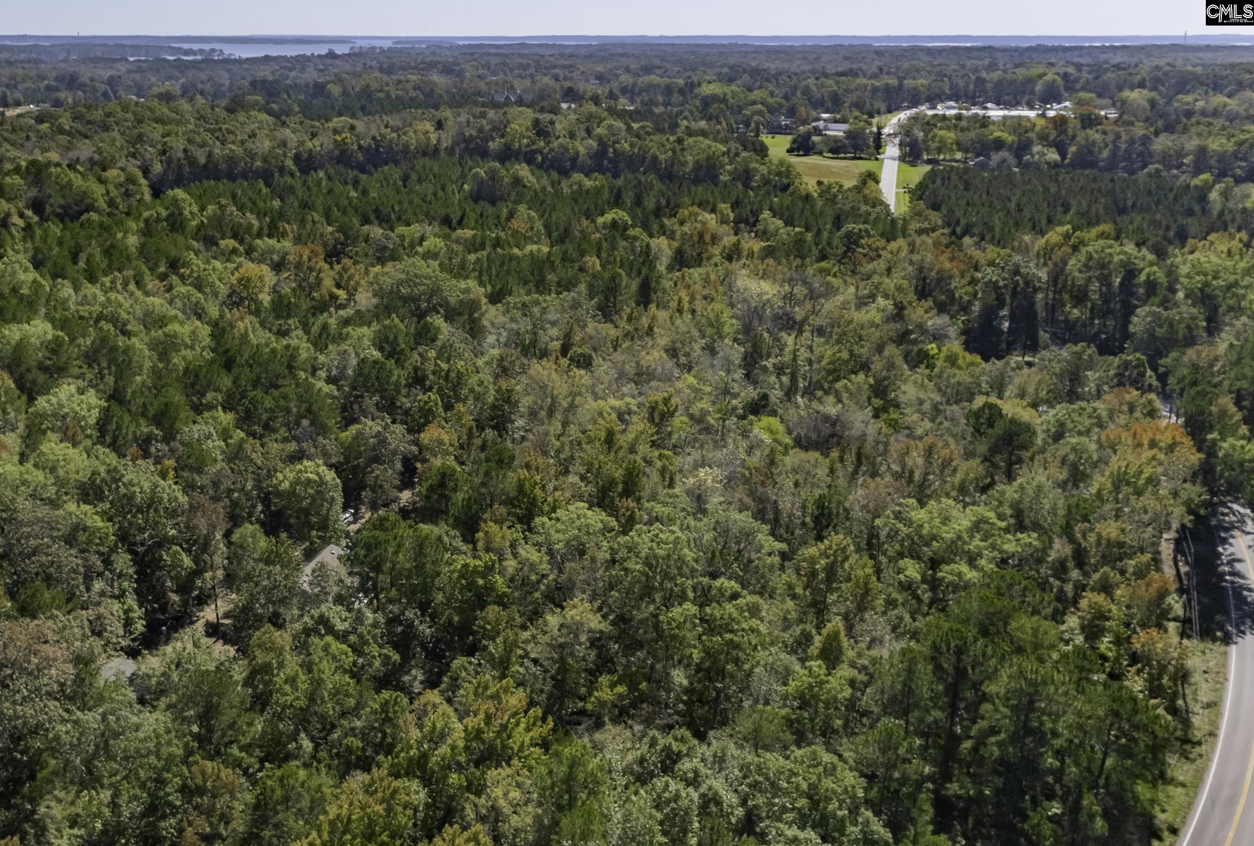 2033 Old Hilton Road, Chapin, South Carolina image 29