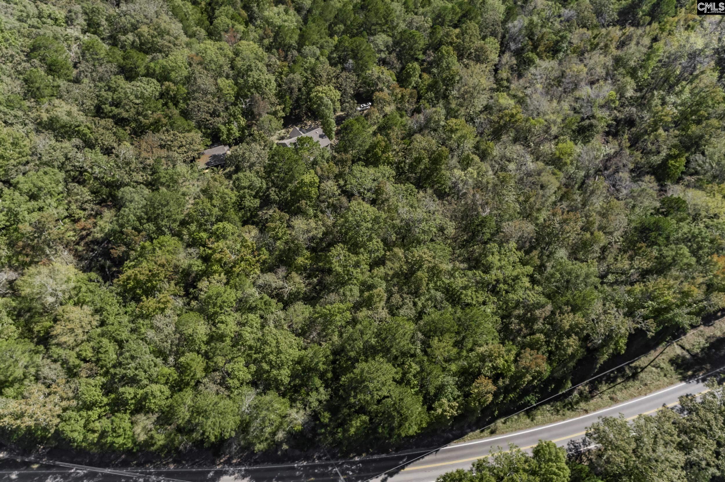 2033 Old Hilton Road, Chapin, South Carolina image 31