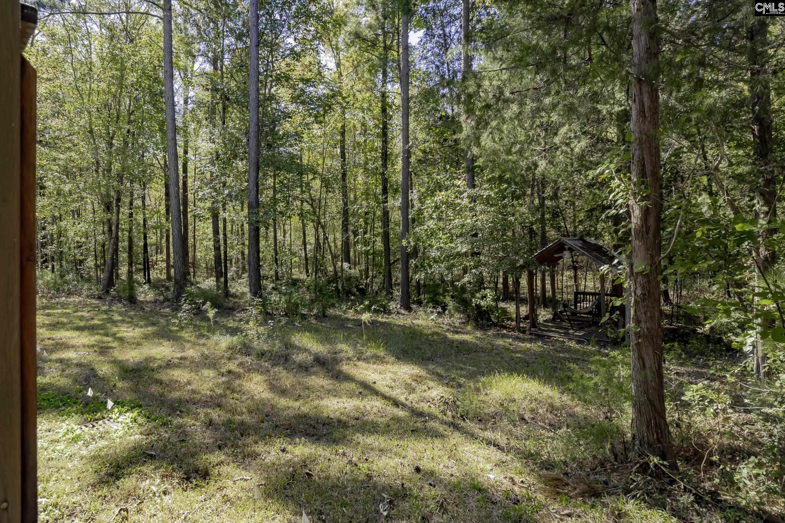 2033 Old Hilton Road, Chapin, South Carolina image 38