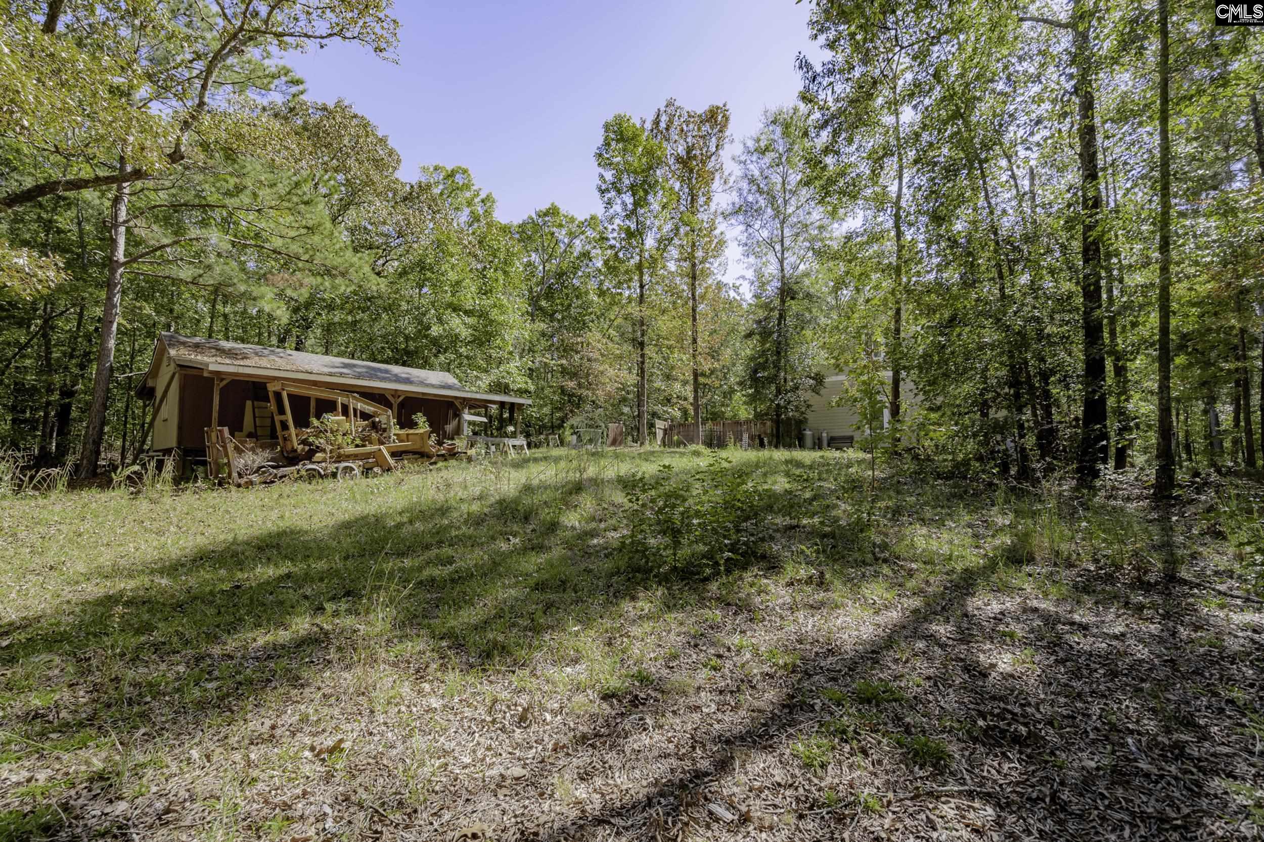 2033 Old Hilton Road, Chapin, South Carolina image 41