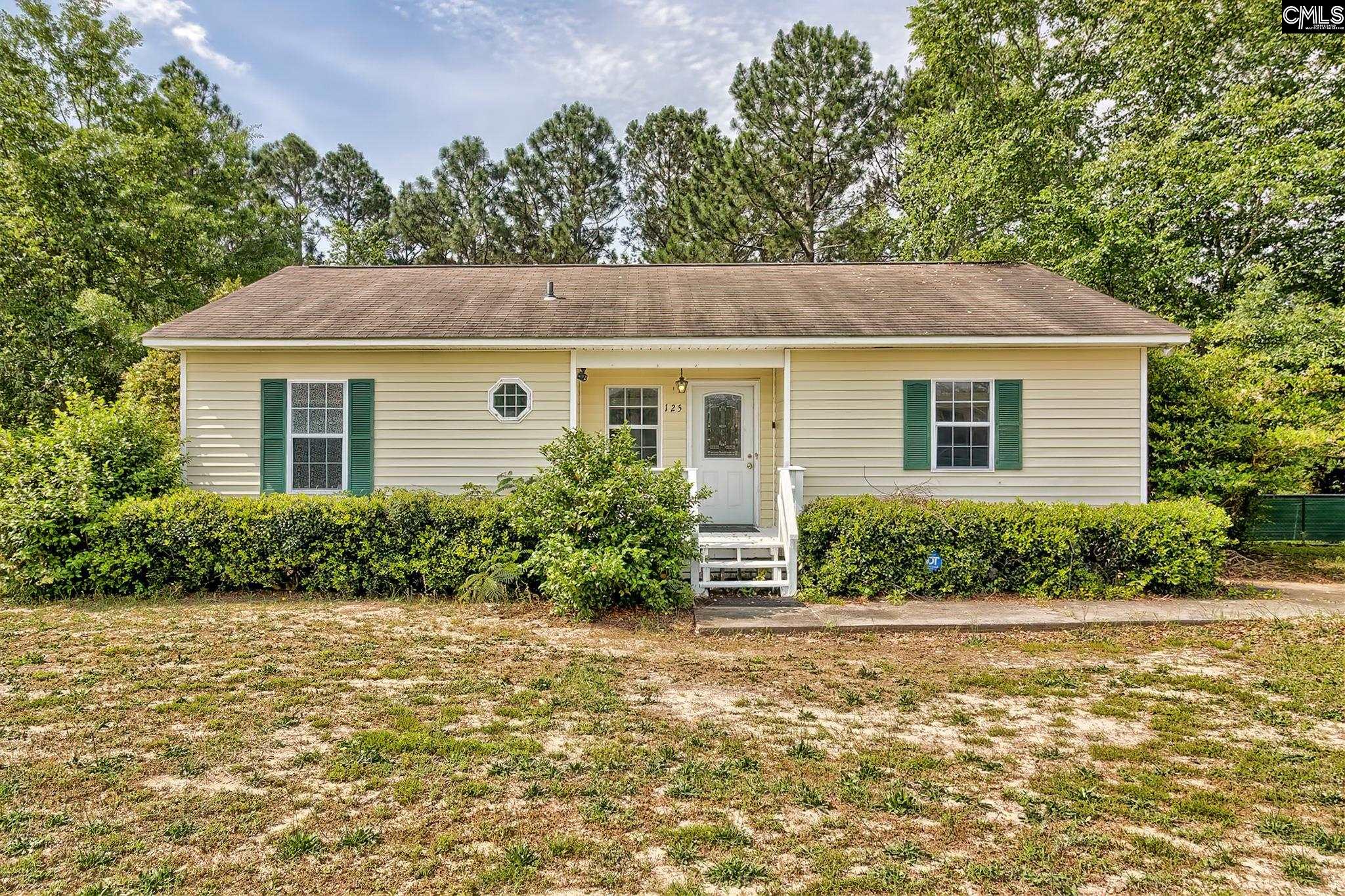 125 Patrick Drive Lexington, SC 29073