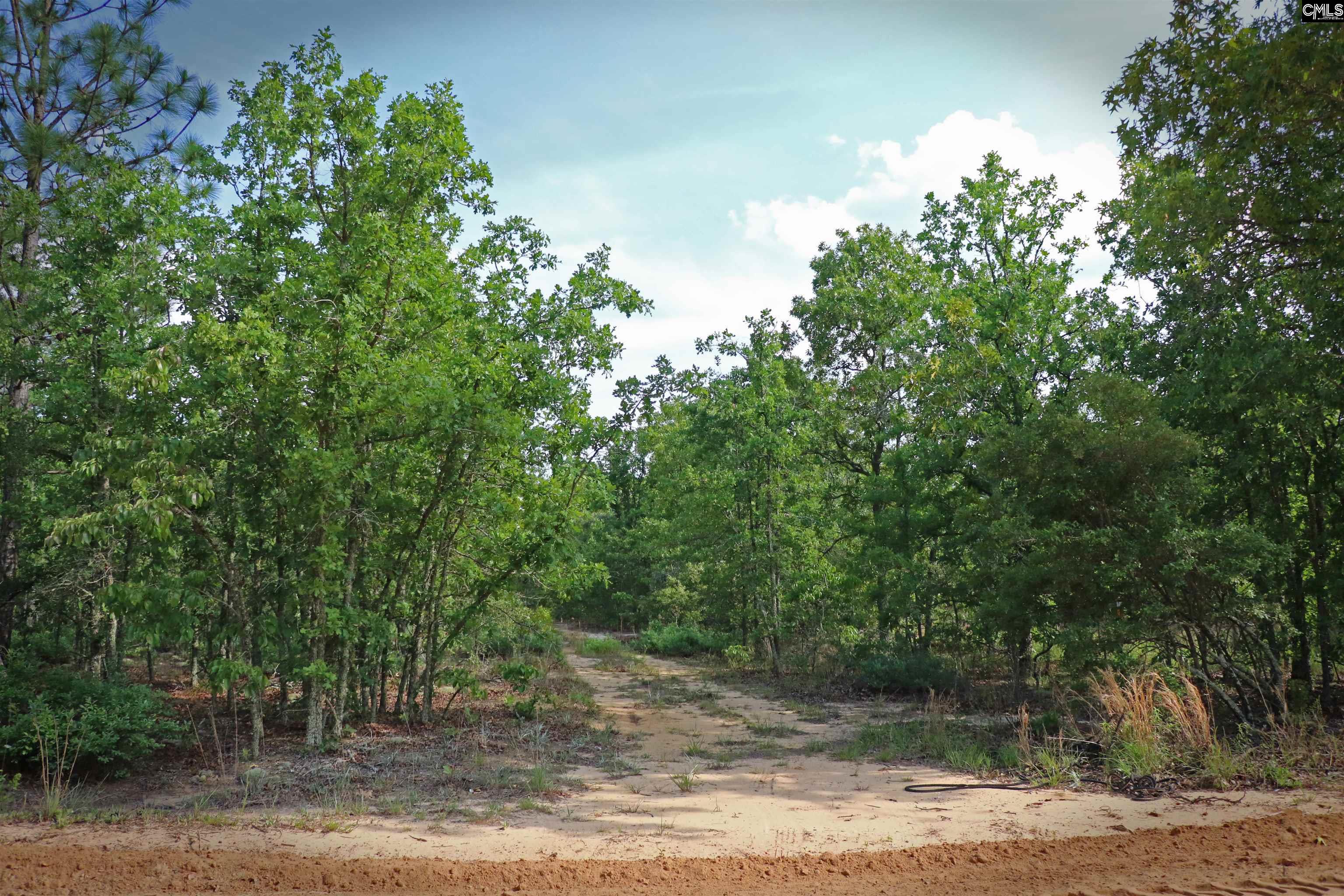 TBD Webbs Pond, Williston, South Carolina image 1