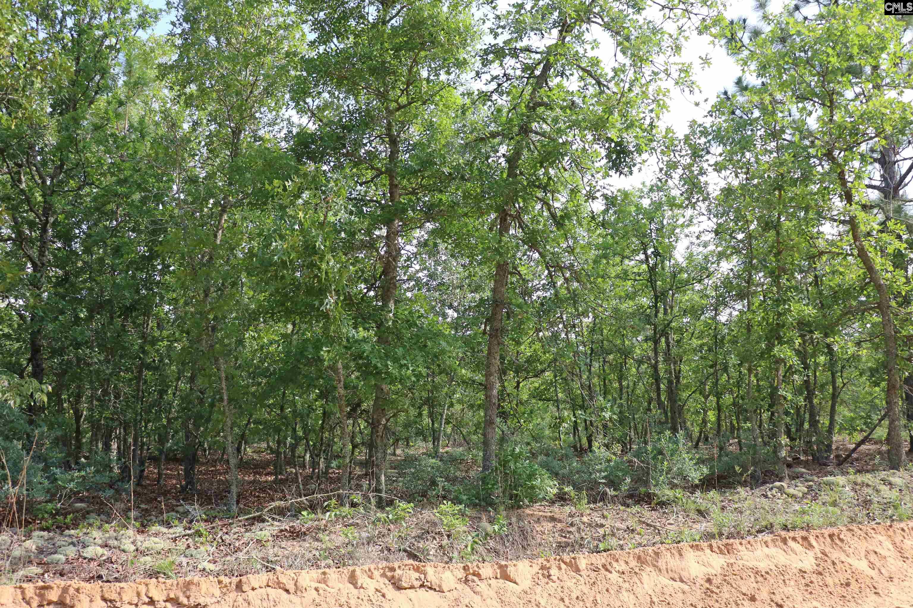 TBD Webbs Pond, Williston, South Carolina image 3