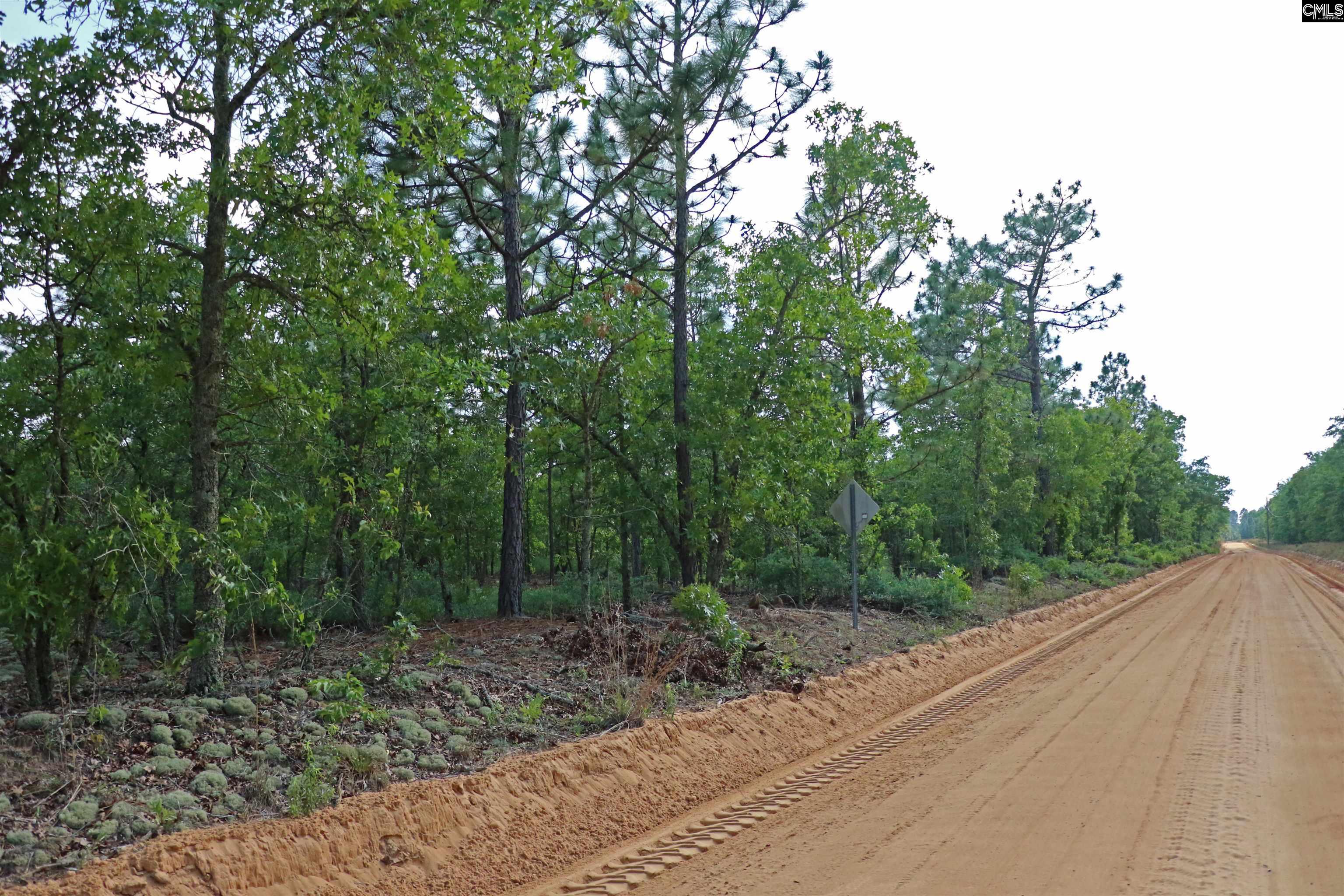 TBD Webbs Pond, Williston, South Carolina image 4