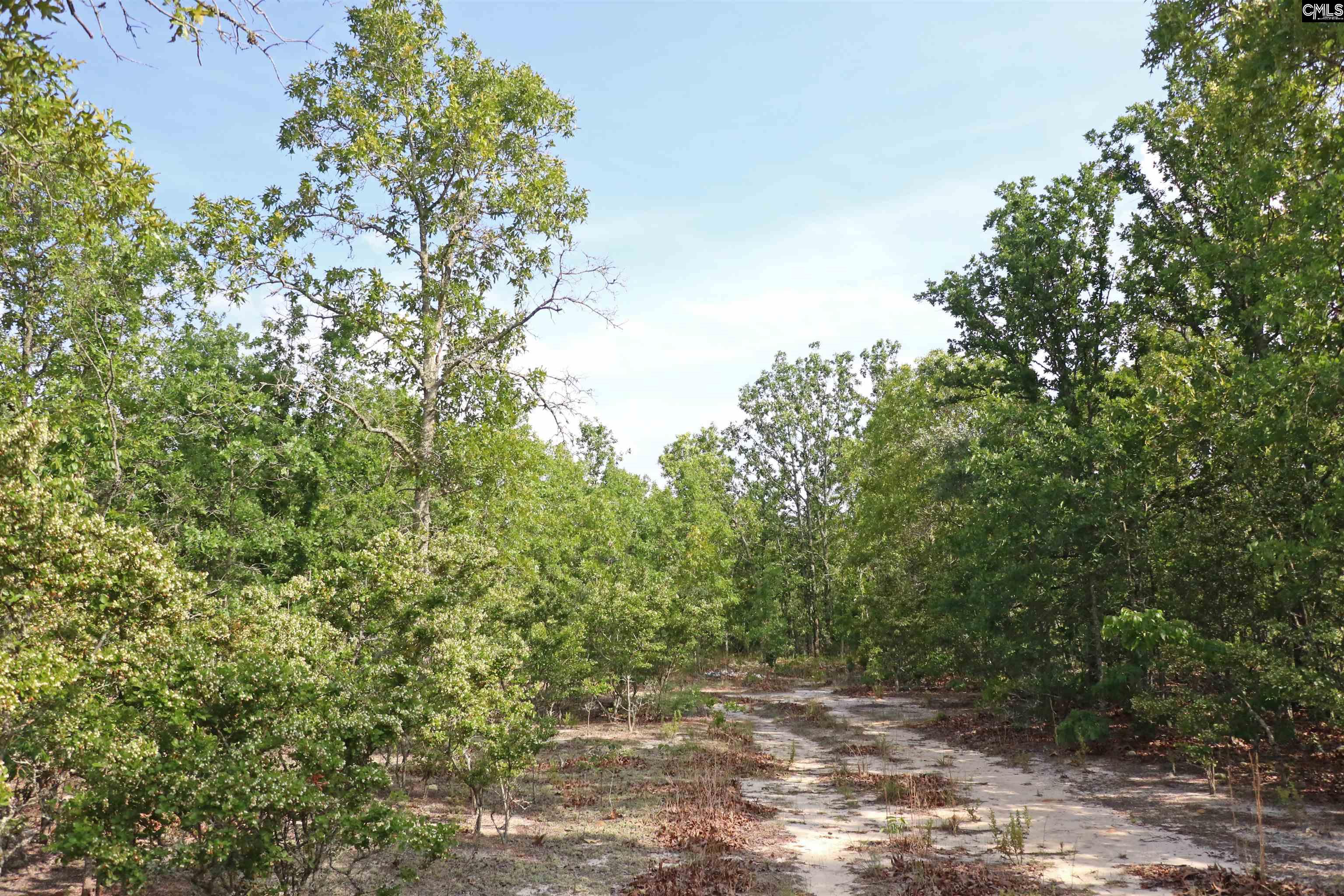 TBD Webbs Pond, Williston, South Carolina image 5
