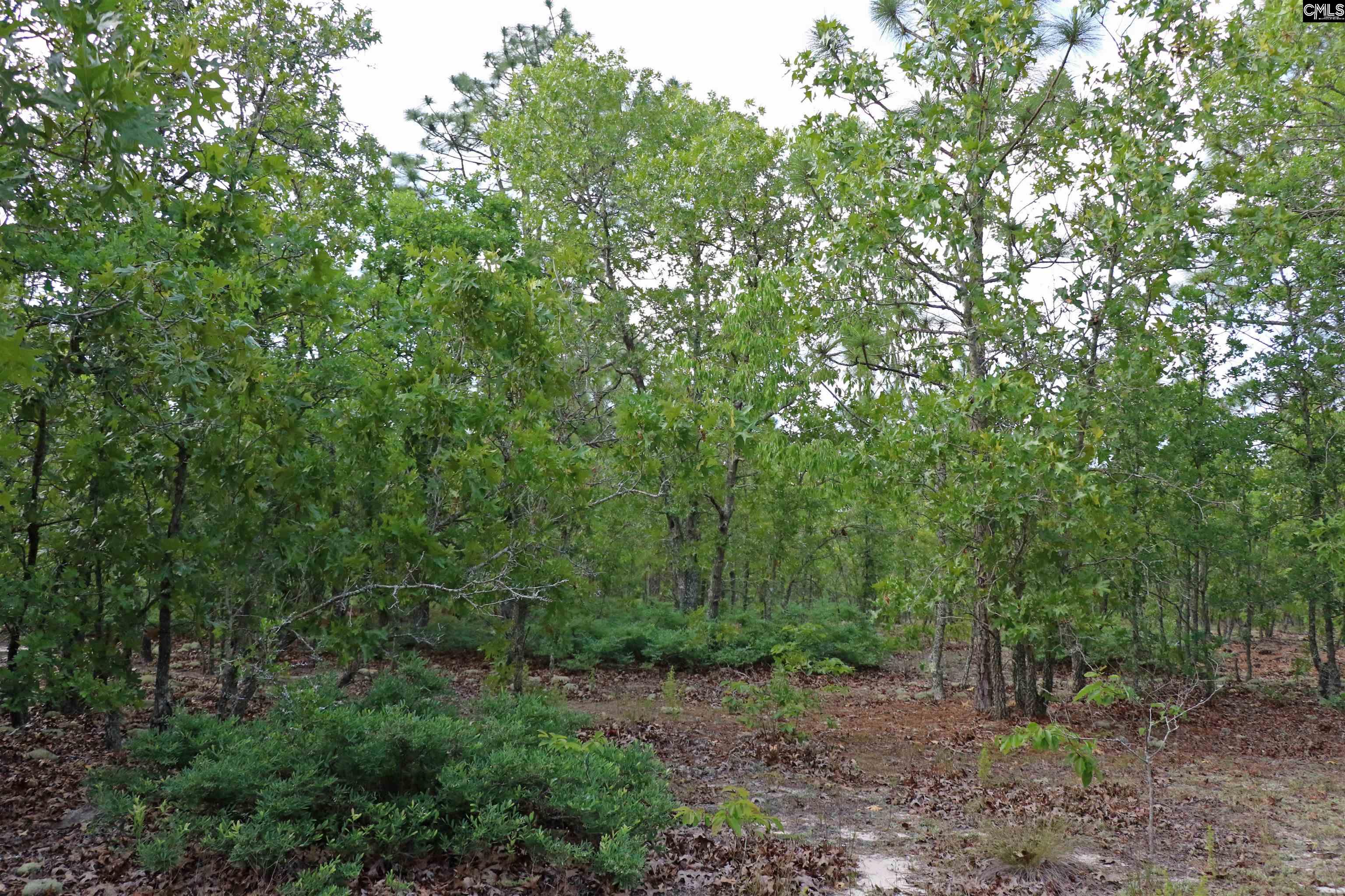 TBD Webbs Pond, Williston, South Carolina image 6