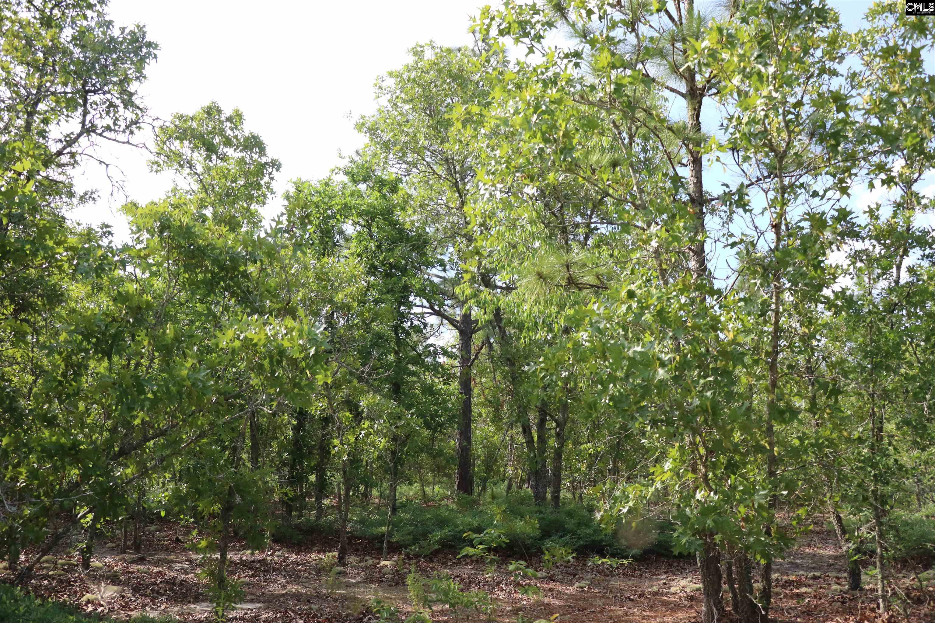 TBD Webbs Pond, Williston, South Carolina image 7