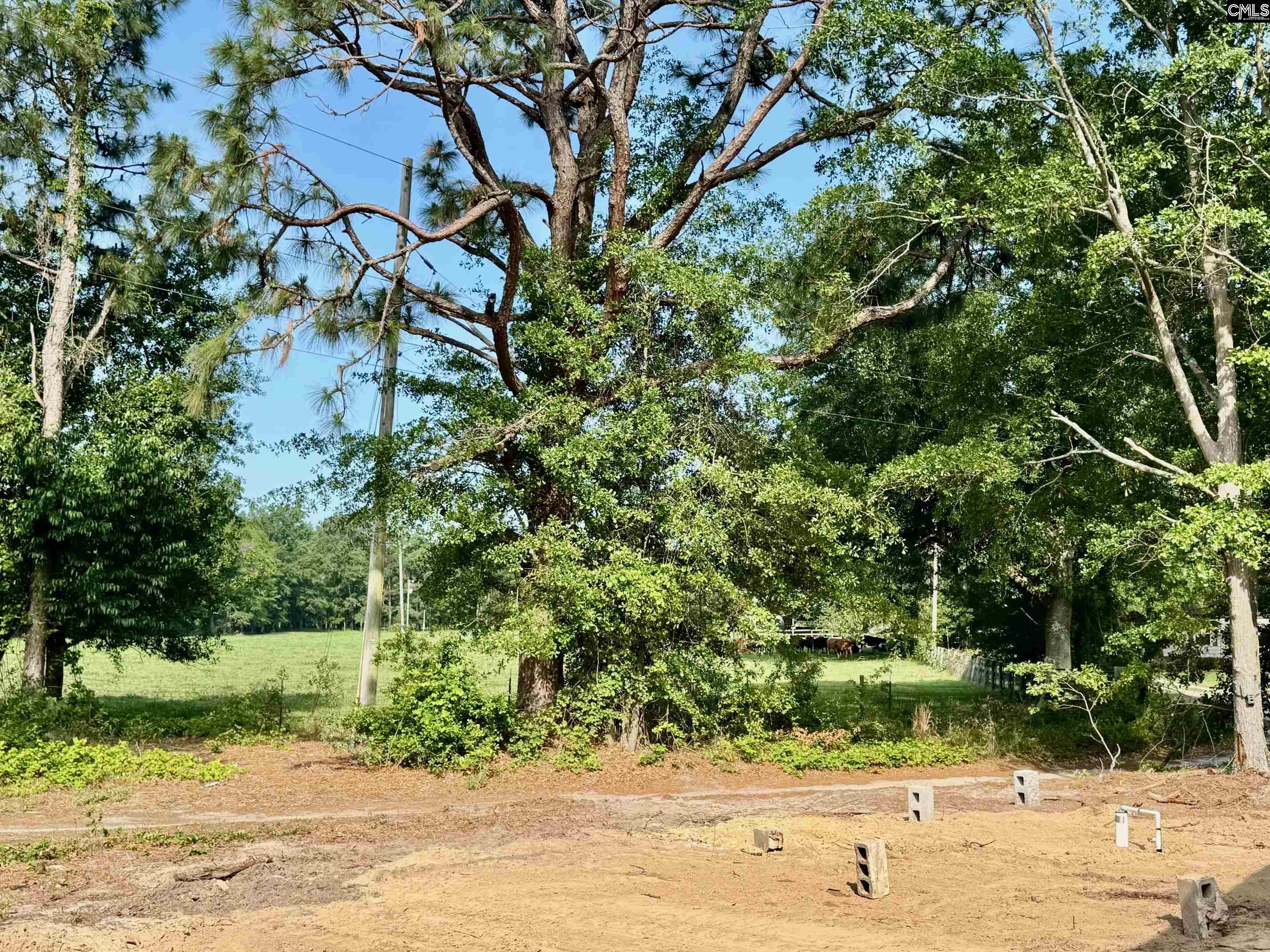 1347 Wire Road, Aiken, South Carolina image 13