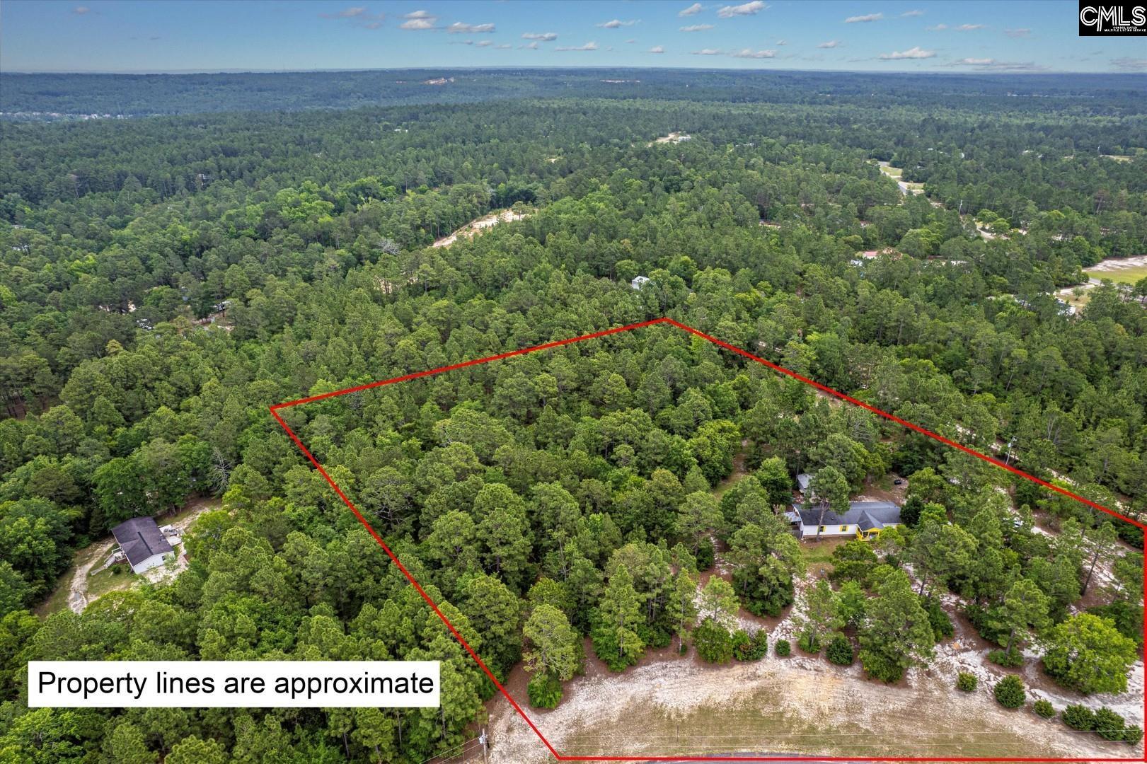117 Ridgefield Road, Pelion, South Carolina image 2
