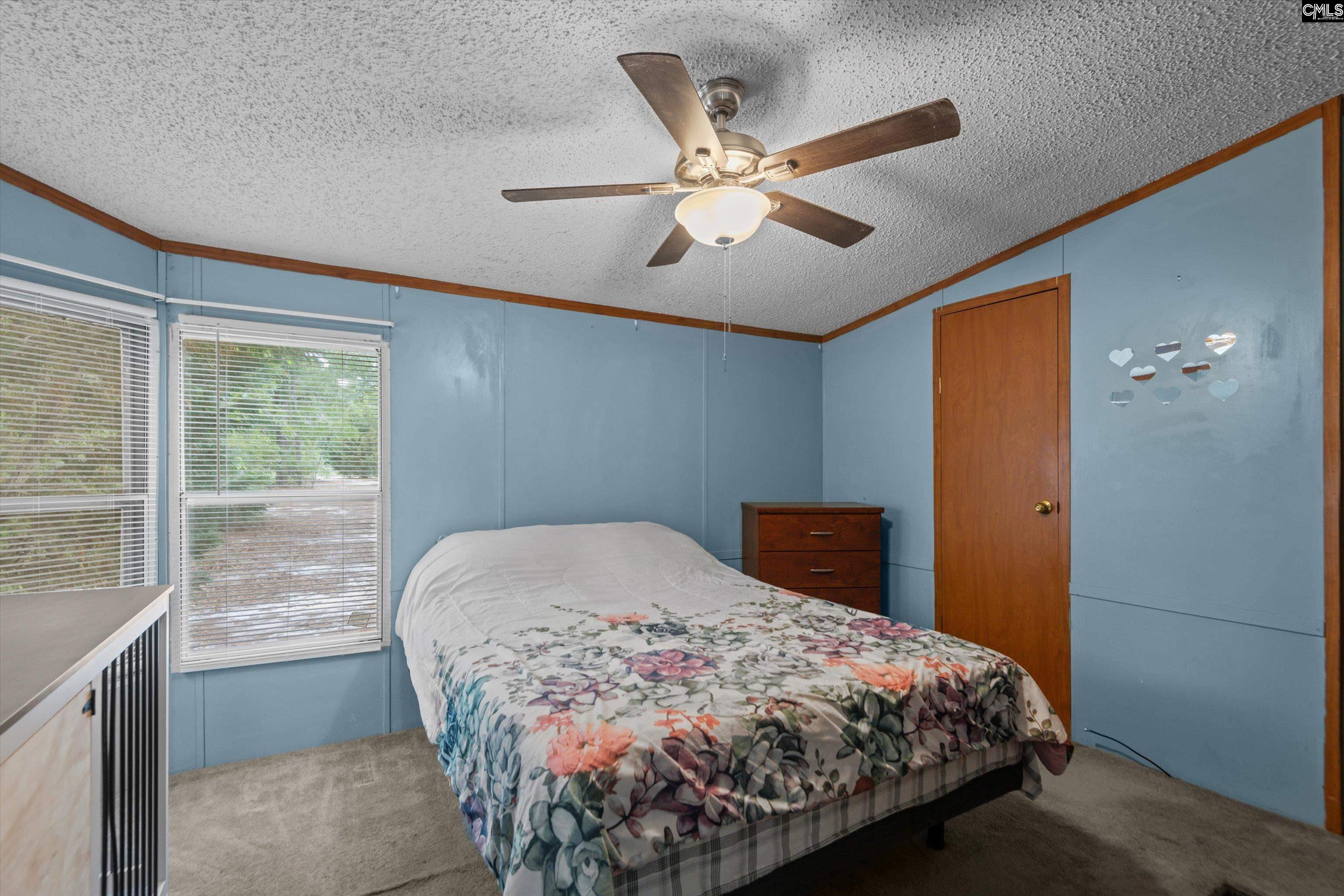 117 Ridgefield Road, Pelion, South Carolina image 18