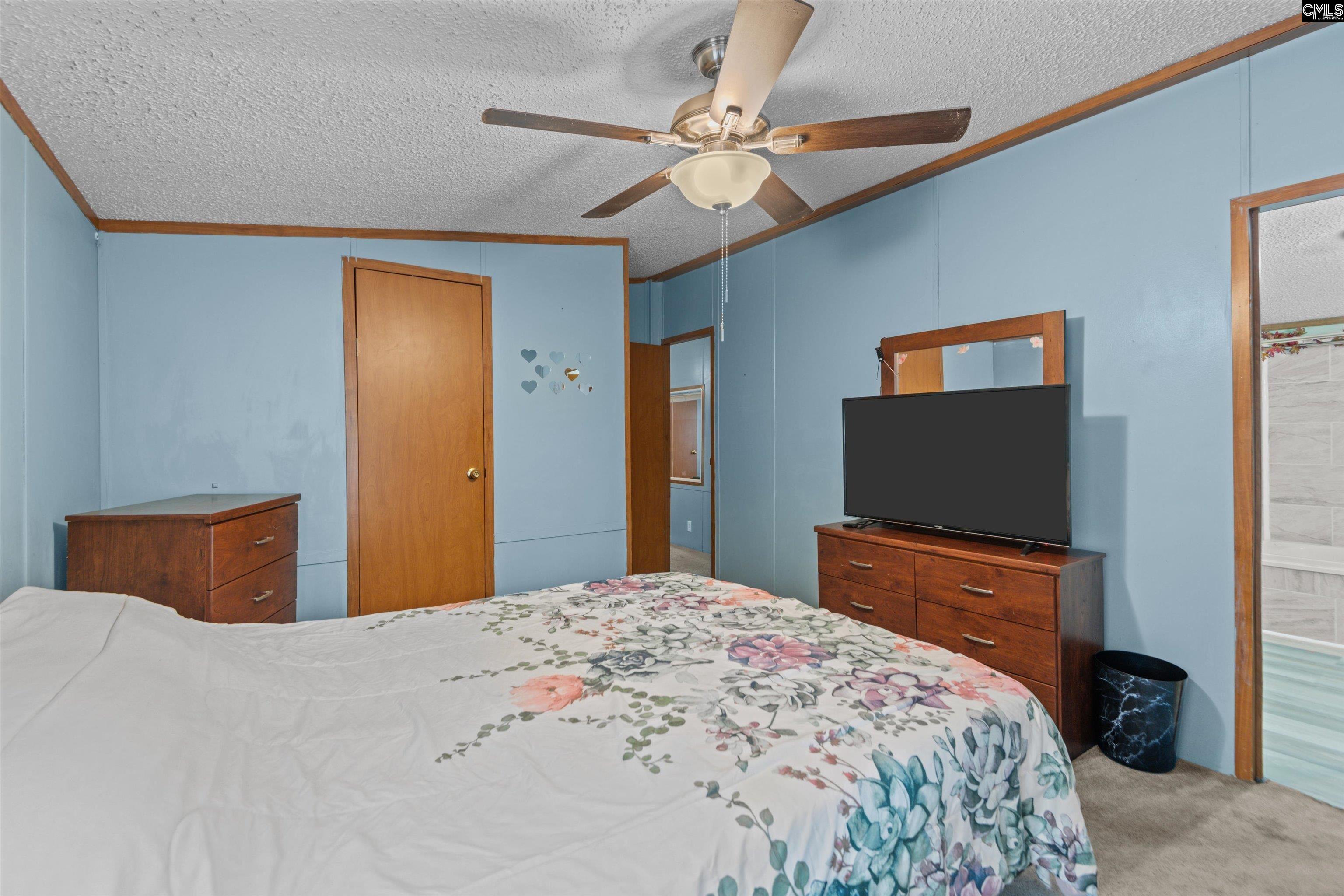 117 Ridgefield Road, Pelion, South Carolina image 19