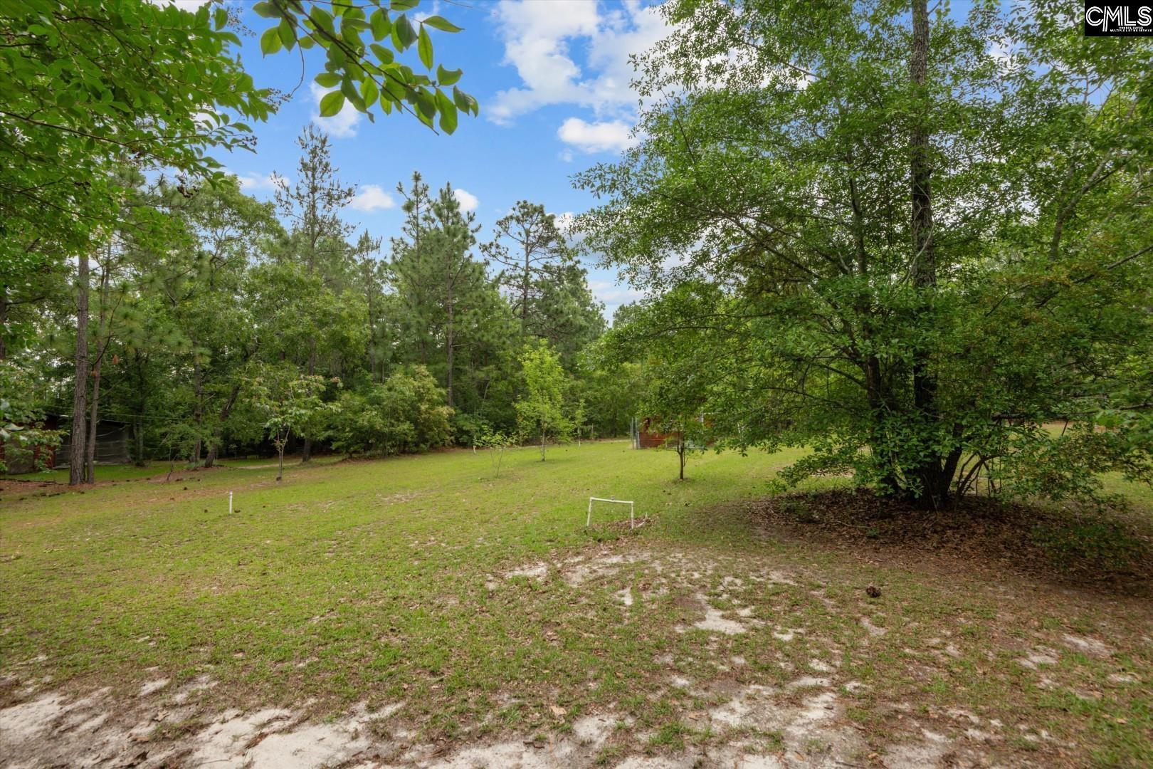 117 Ridgefield Road, Pelion, South Carolina image 26