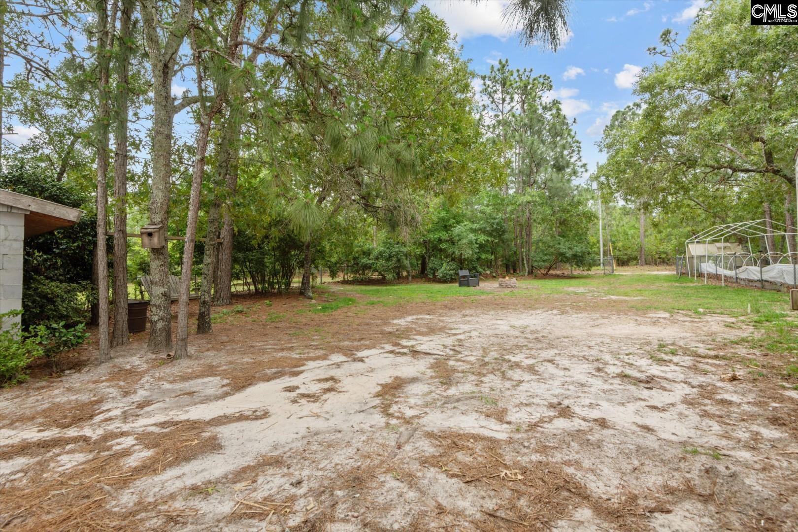 117 Ridgefield Road, Pelion, South Carolina image 28