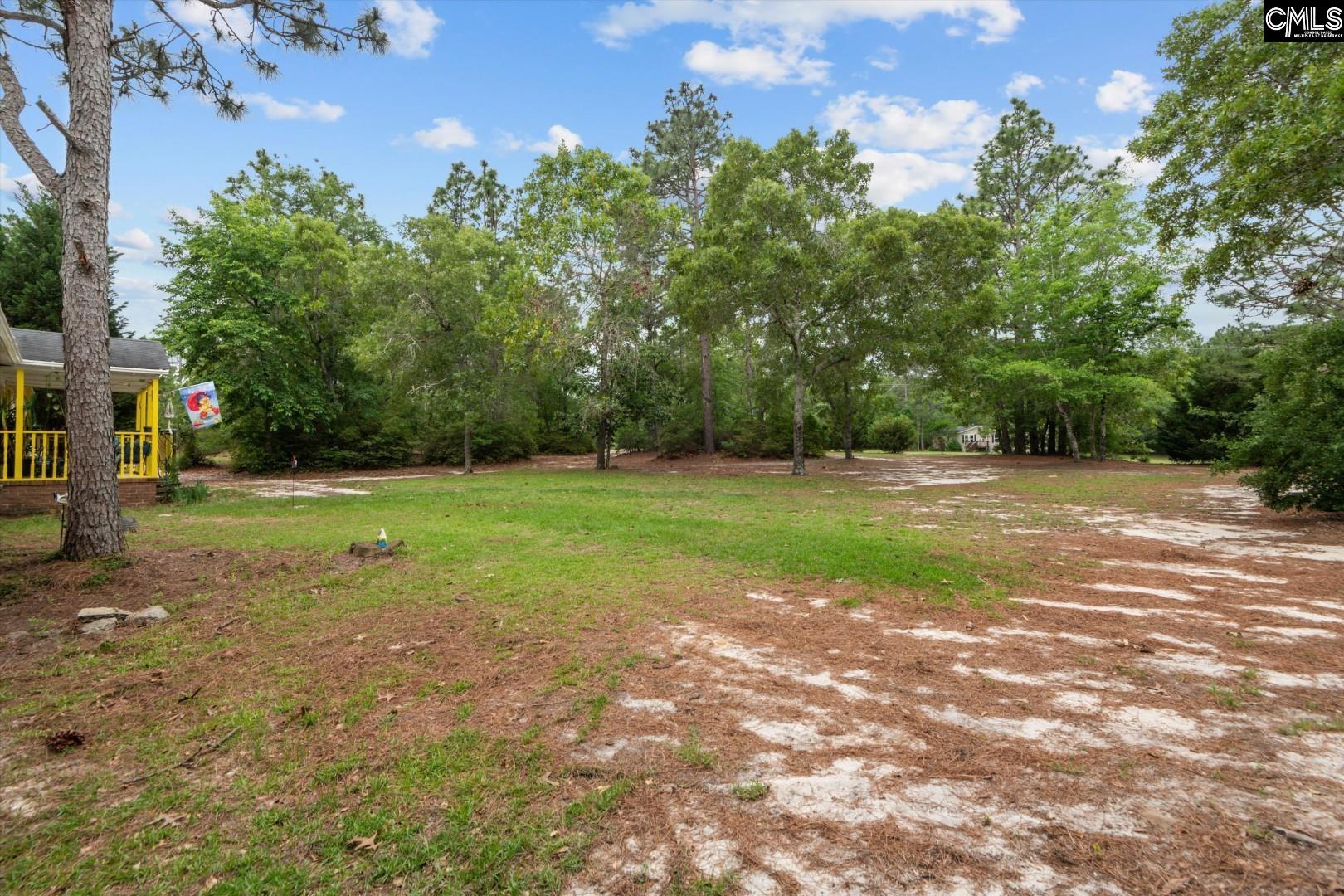 117 Ridgefield Road, Pelion, South Carolina image 32