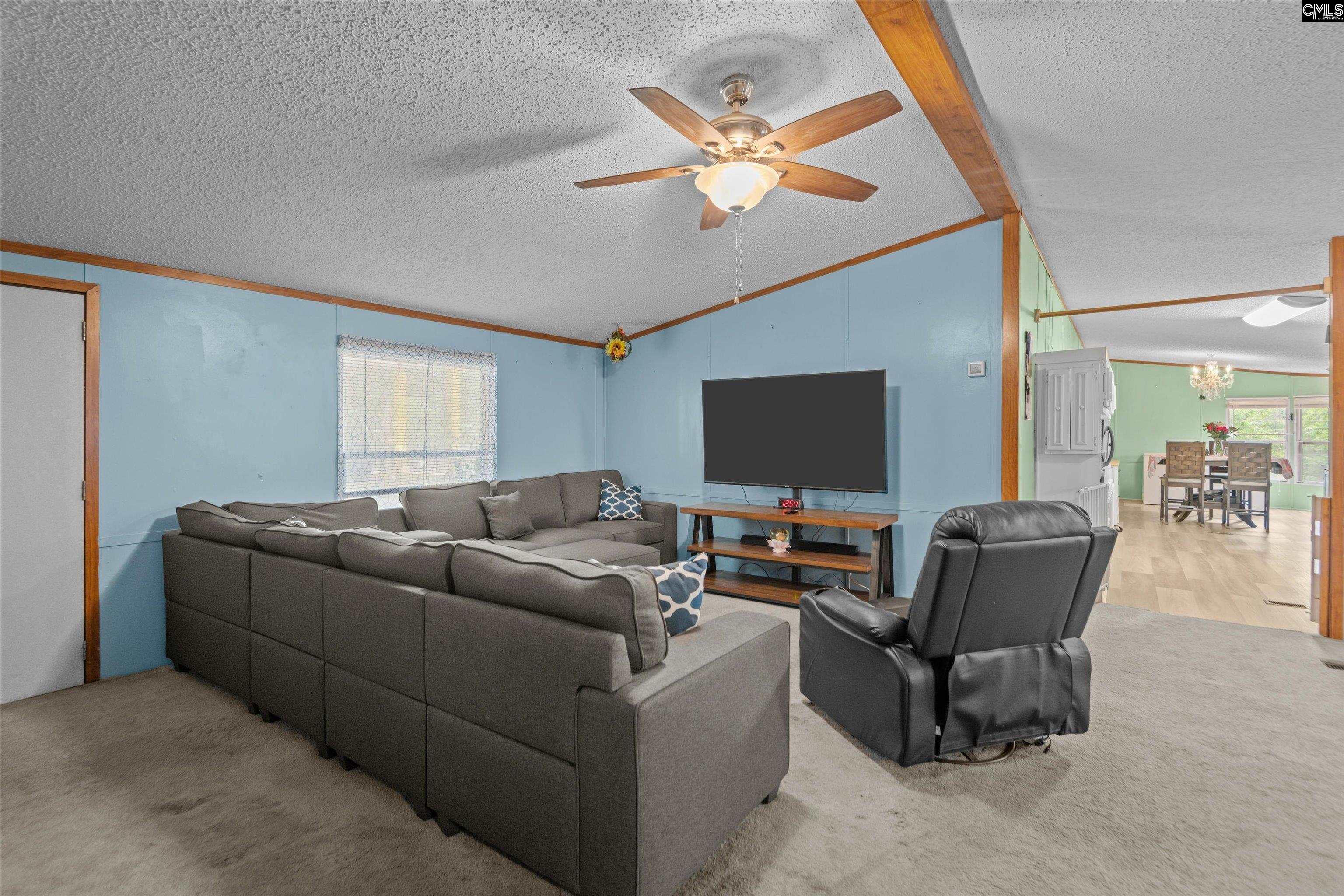 117 Ridgefield Road, Pelion, South Carolina image 5