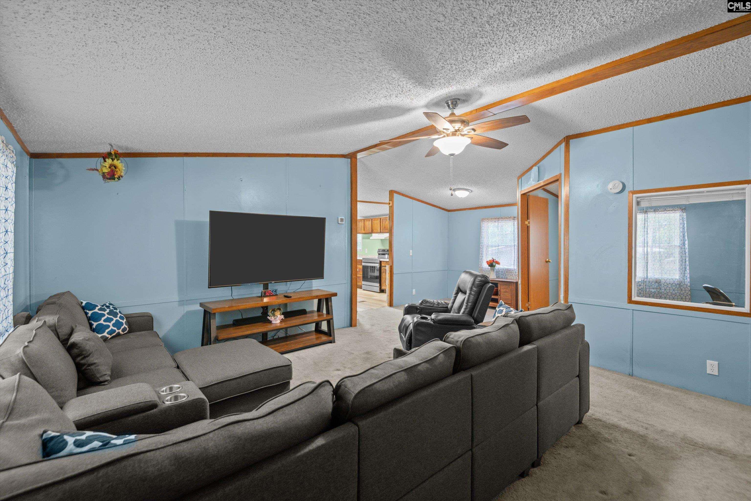 117 Ridgefield Road, Pelion, South Carolina image 6