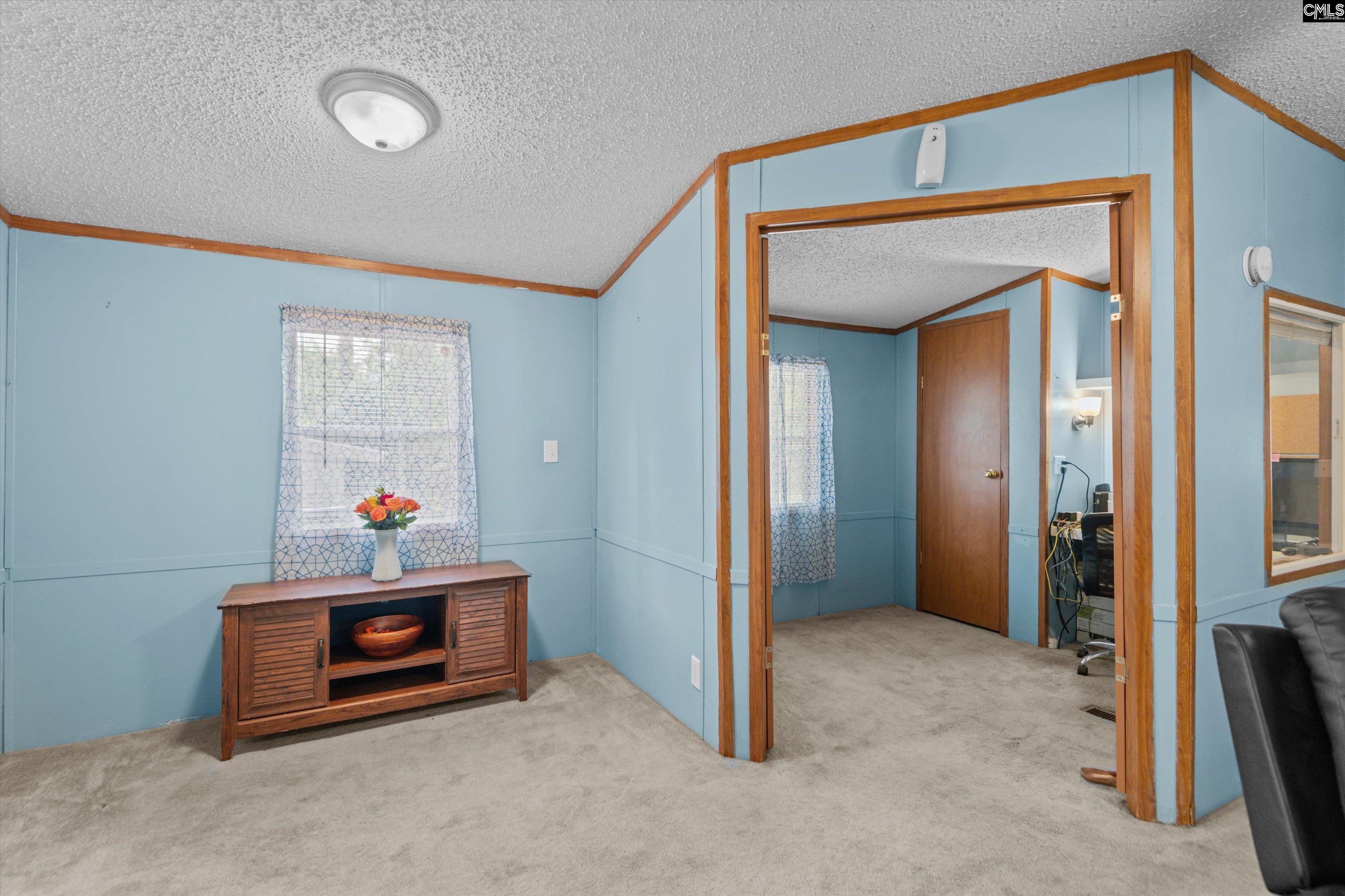 117 Ridgefield Road, Pelion, South Carolina image 7