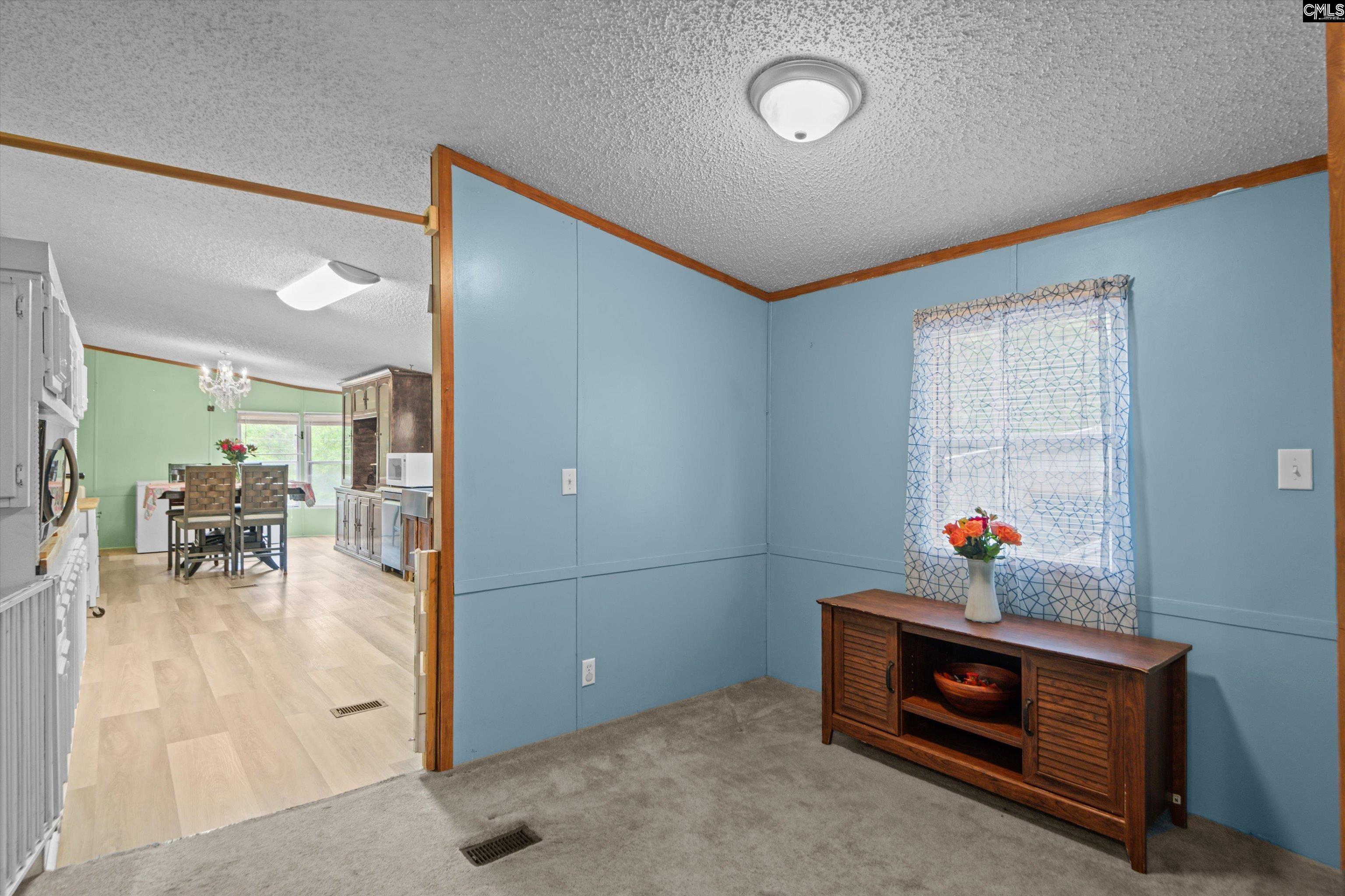117 Ridgefield Road, Pelion, South Carolina image 10