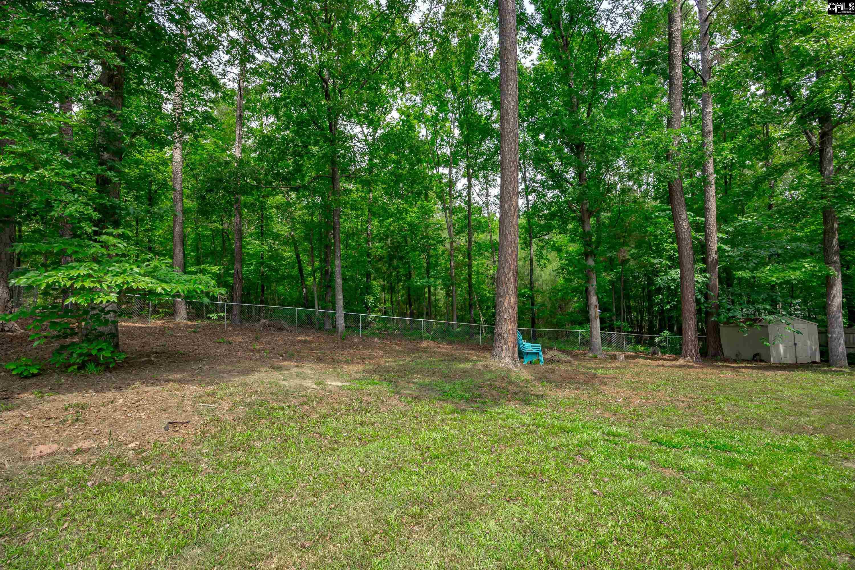 6 Hedgefield Court, Irmo, South Carolina image 37
