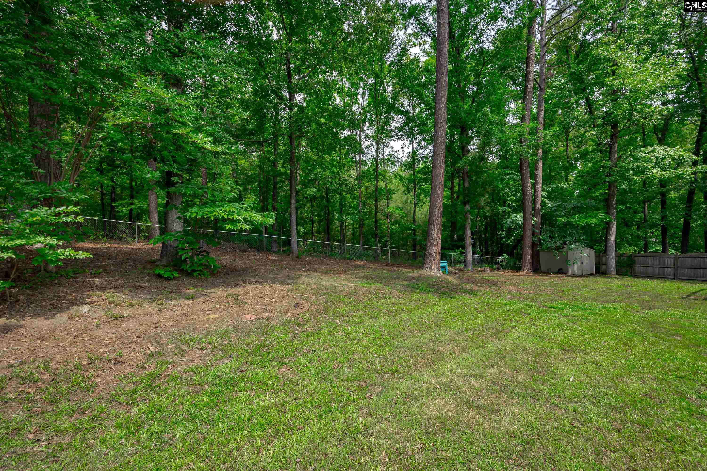 6 Hedgefield Court, Irmo, South Carolina image 43