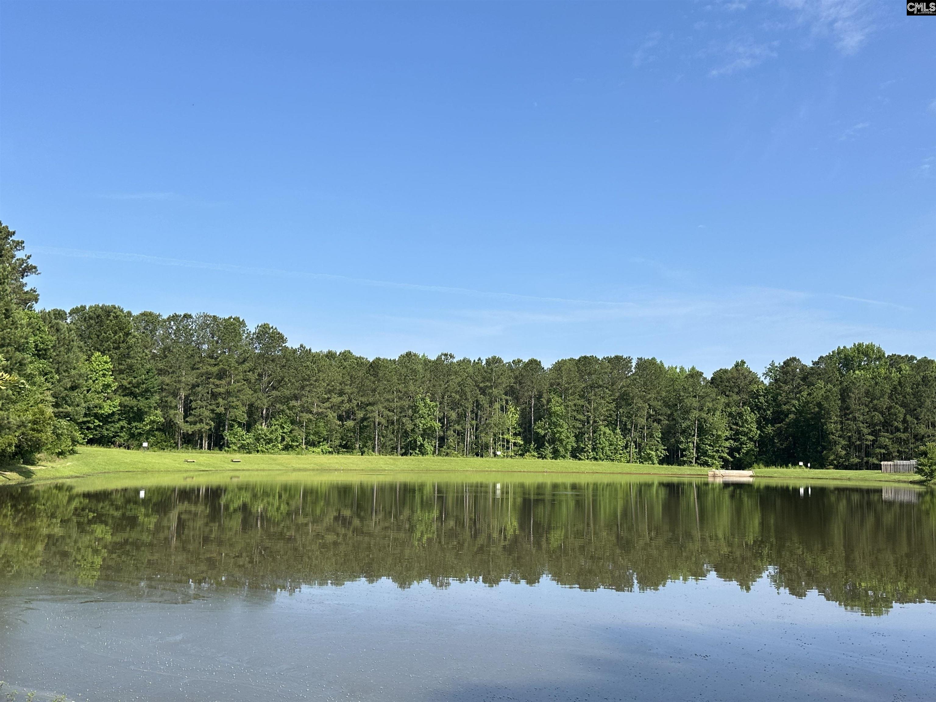 300 Beltrees Lexington, SC 29072
