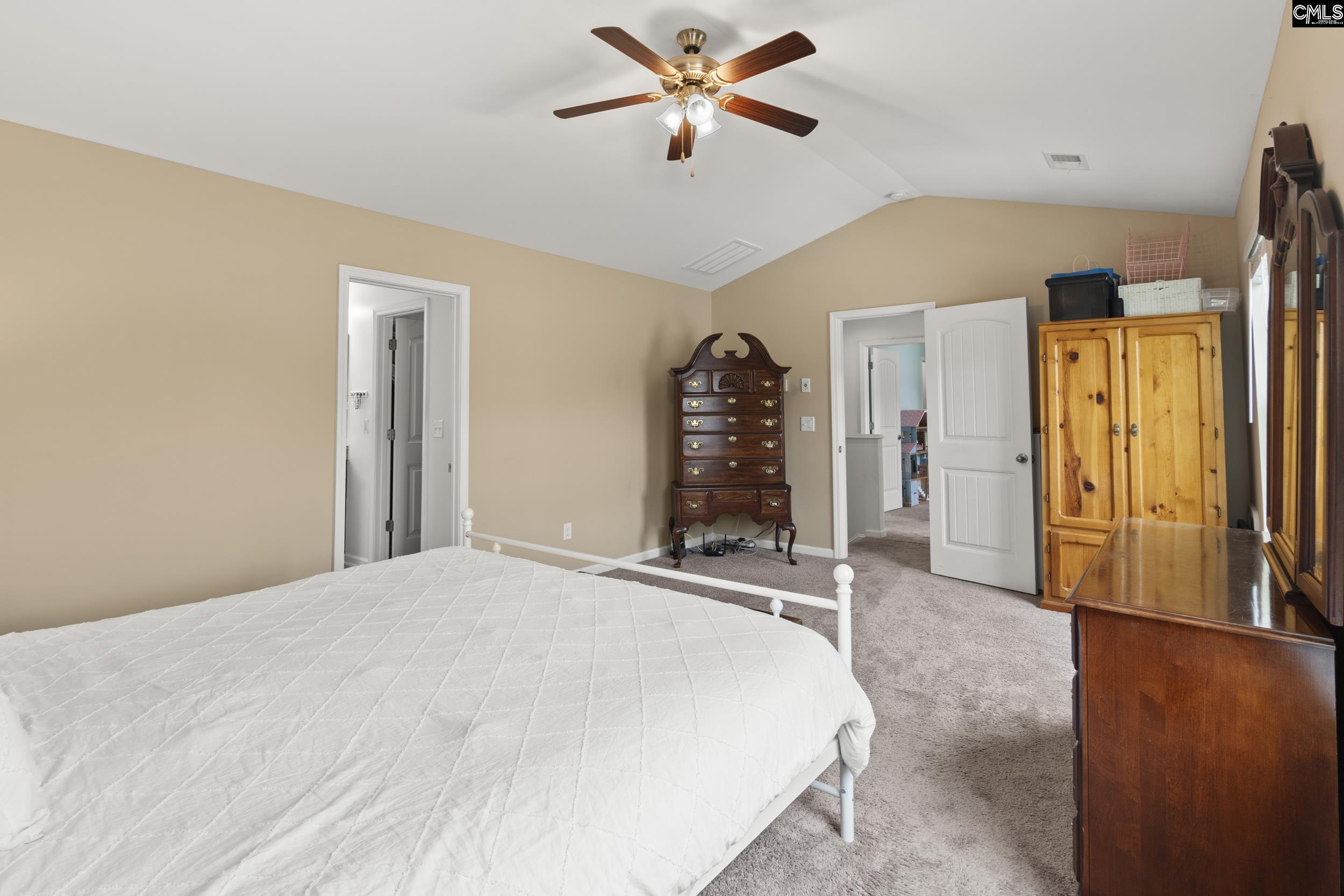 150 Ventnor Avenue, Chapin, South Carolina image 15