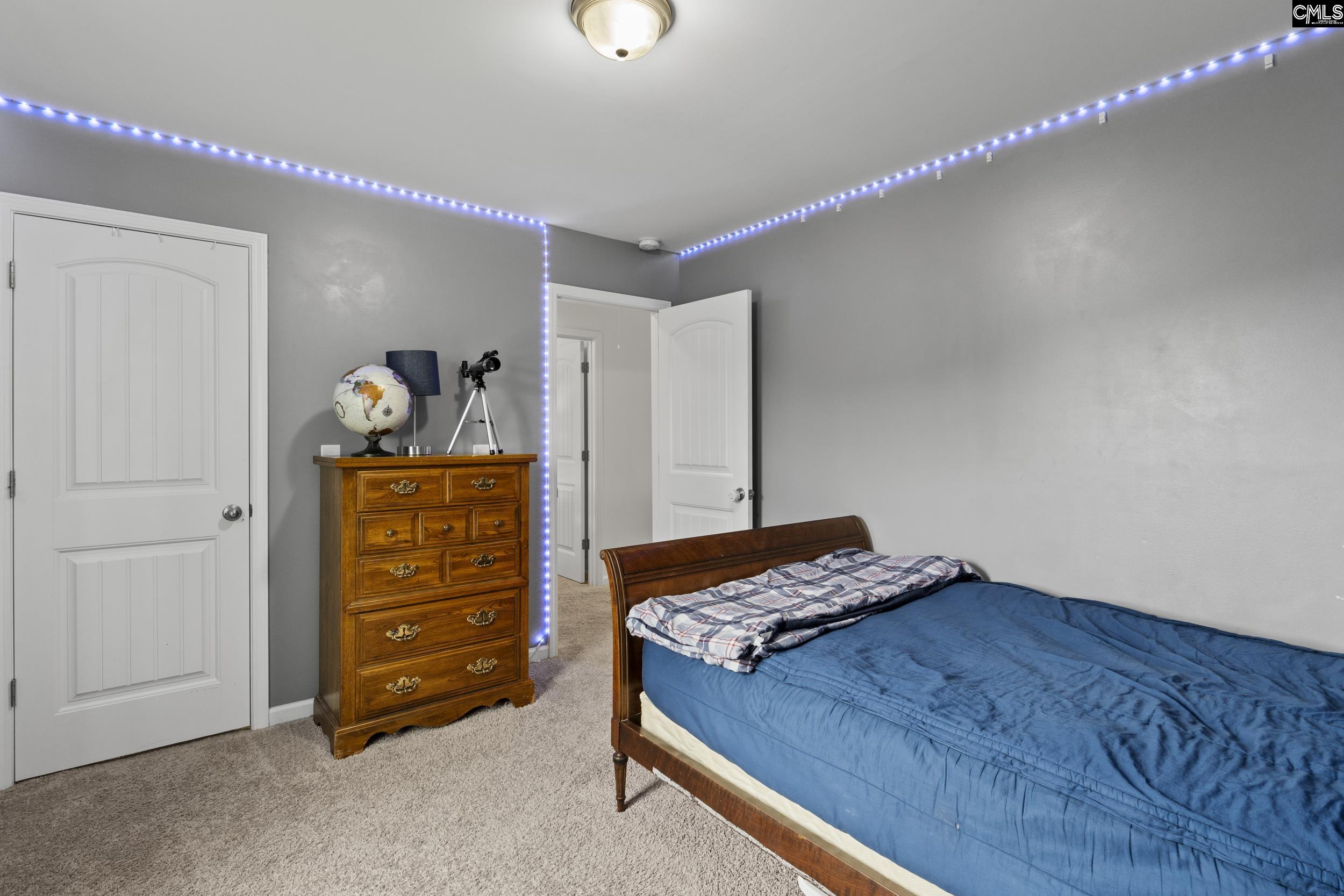150 Ventnor Avenue, Chapin, South Carolina image 21