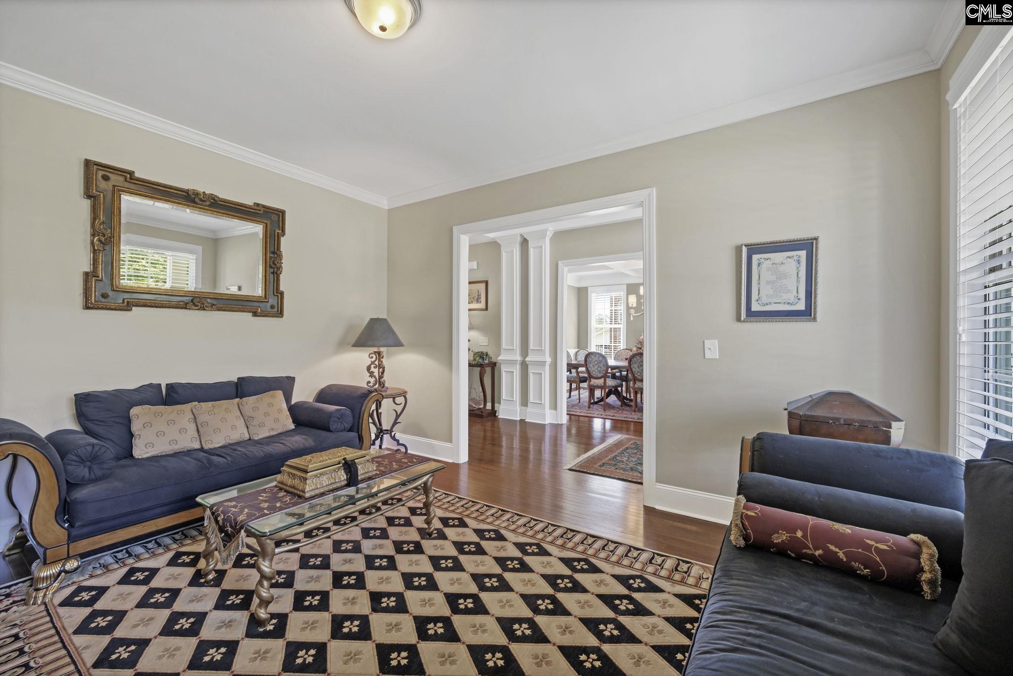 517 Fairwind Drive, Chapin, South Carolina image 10