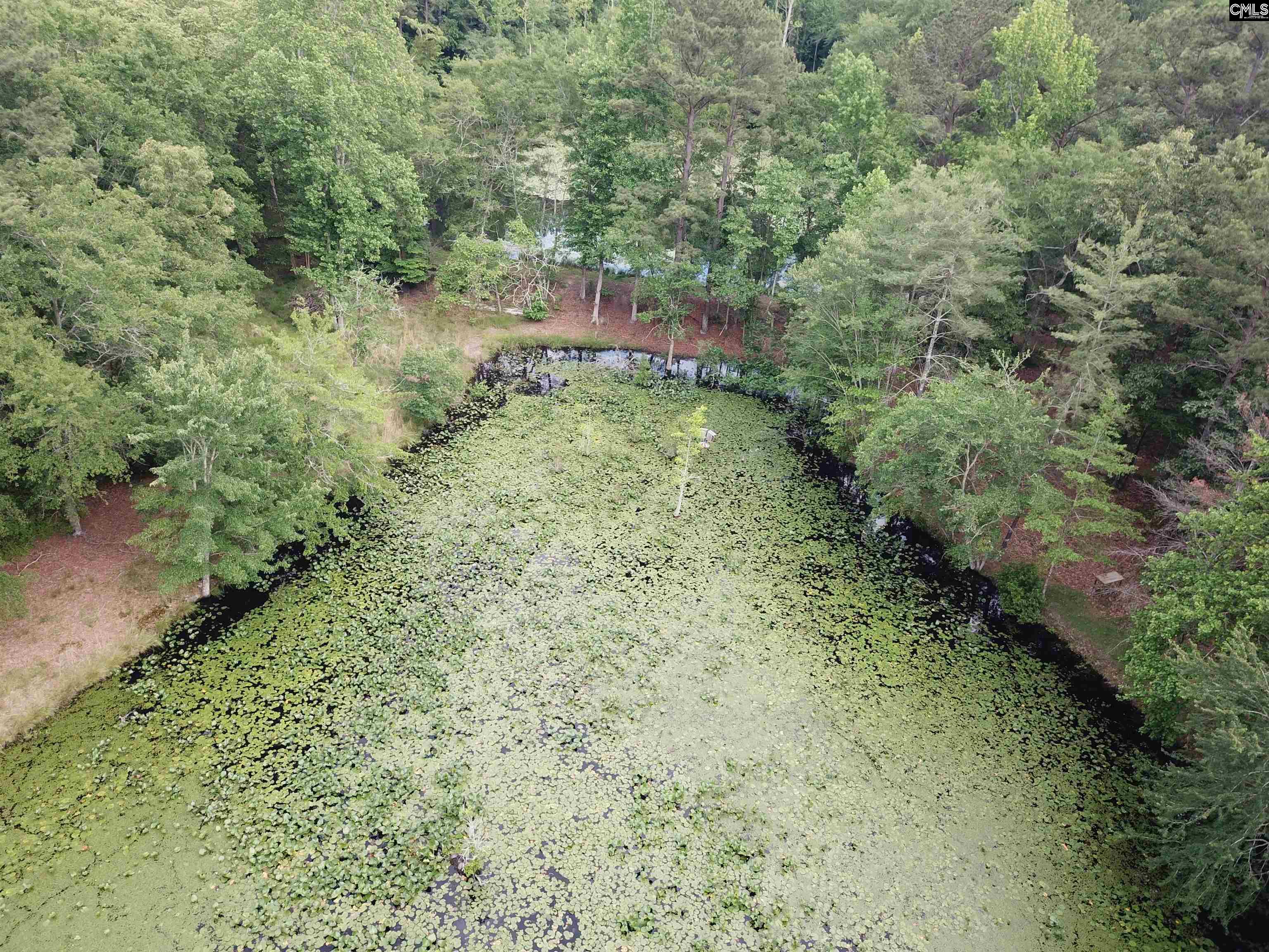 141 Frost Road, Camden, South Carolina image 18
